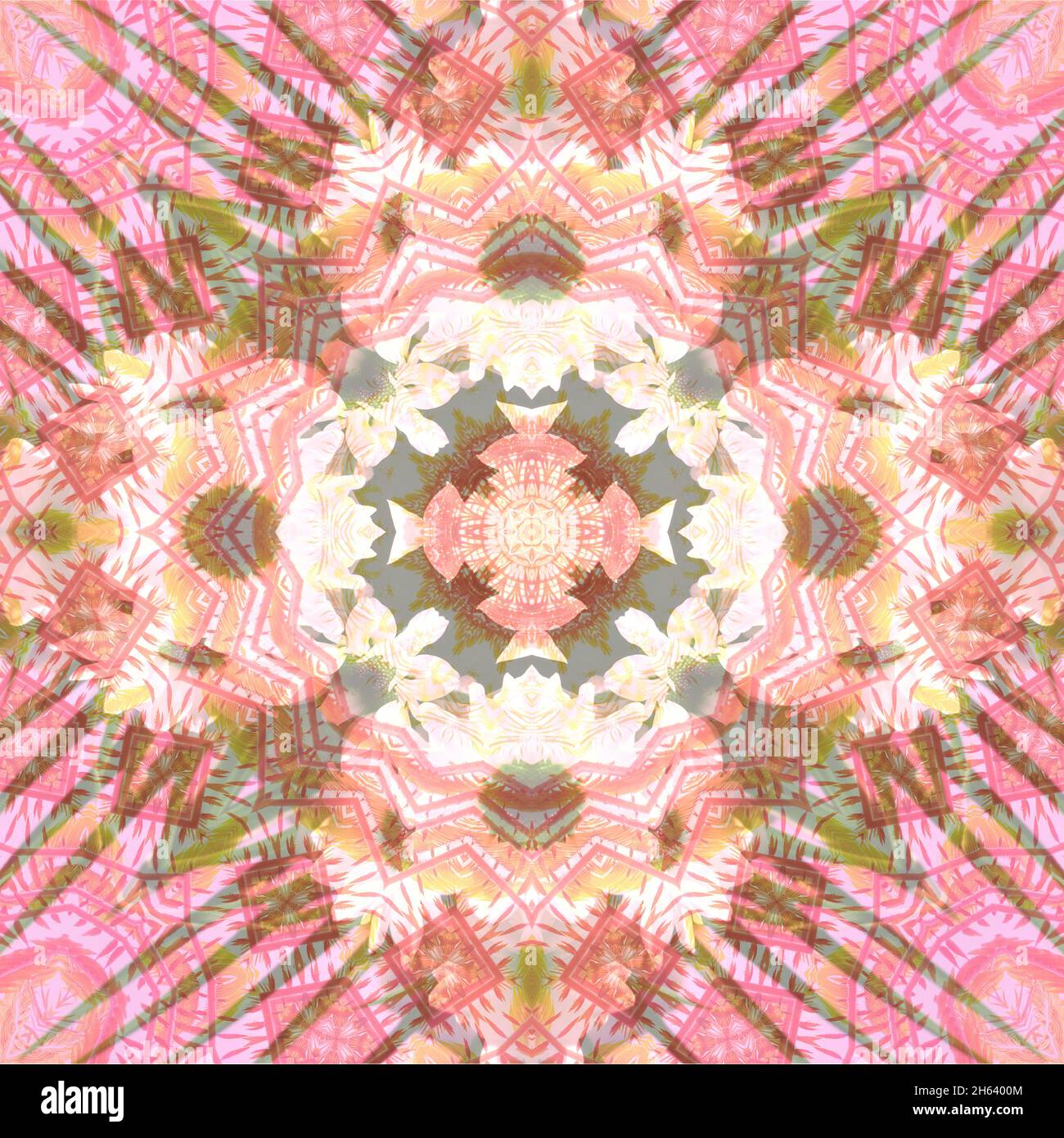 mandala, komponieren, Pflanzen Stockfoto