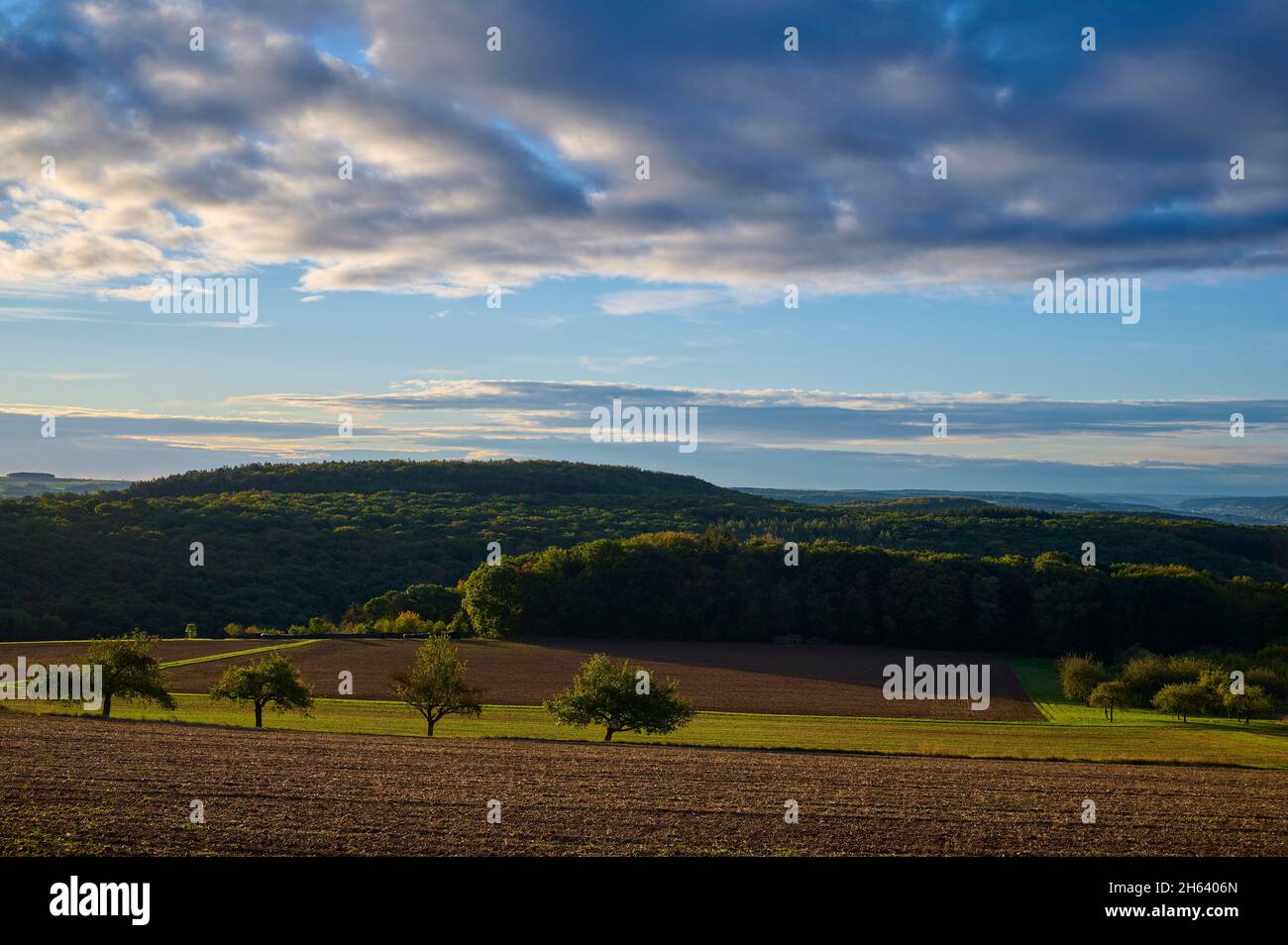 Landschaft,Sonnenaufgang,Herbst,Höhefeld,wertheim,Main-tauber-kreis,baden-württemberg,deutschland Stockfoto