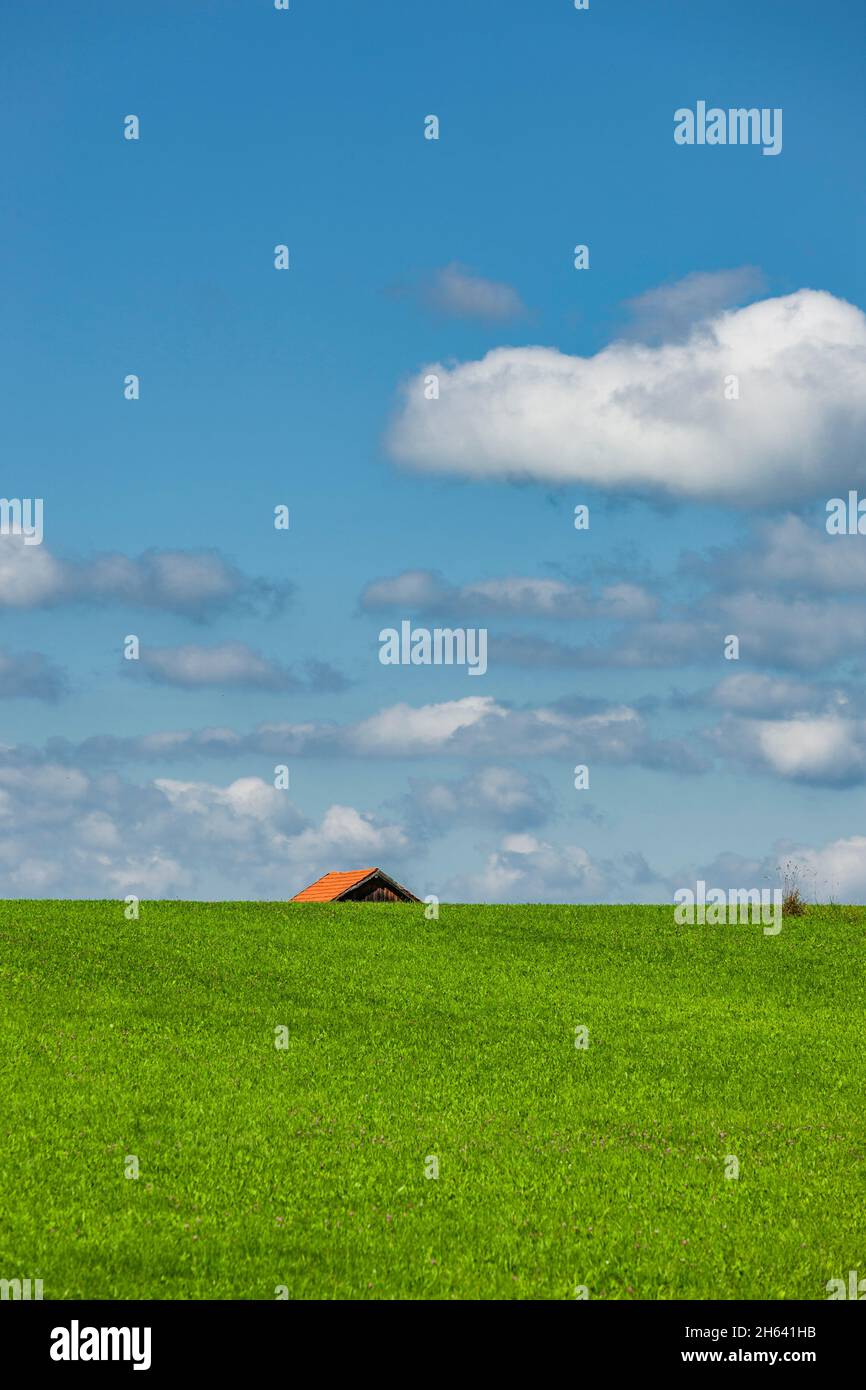 allgäuer Landschaft mit einem Bauernhaus im Sommer Stockfoto