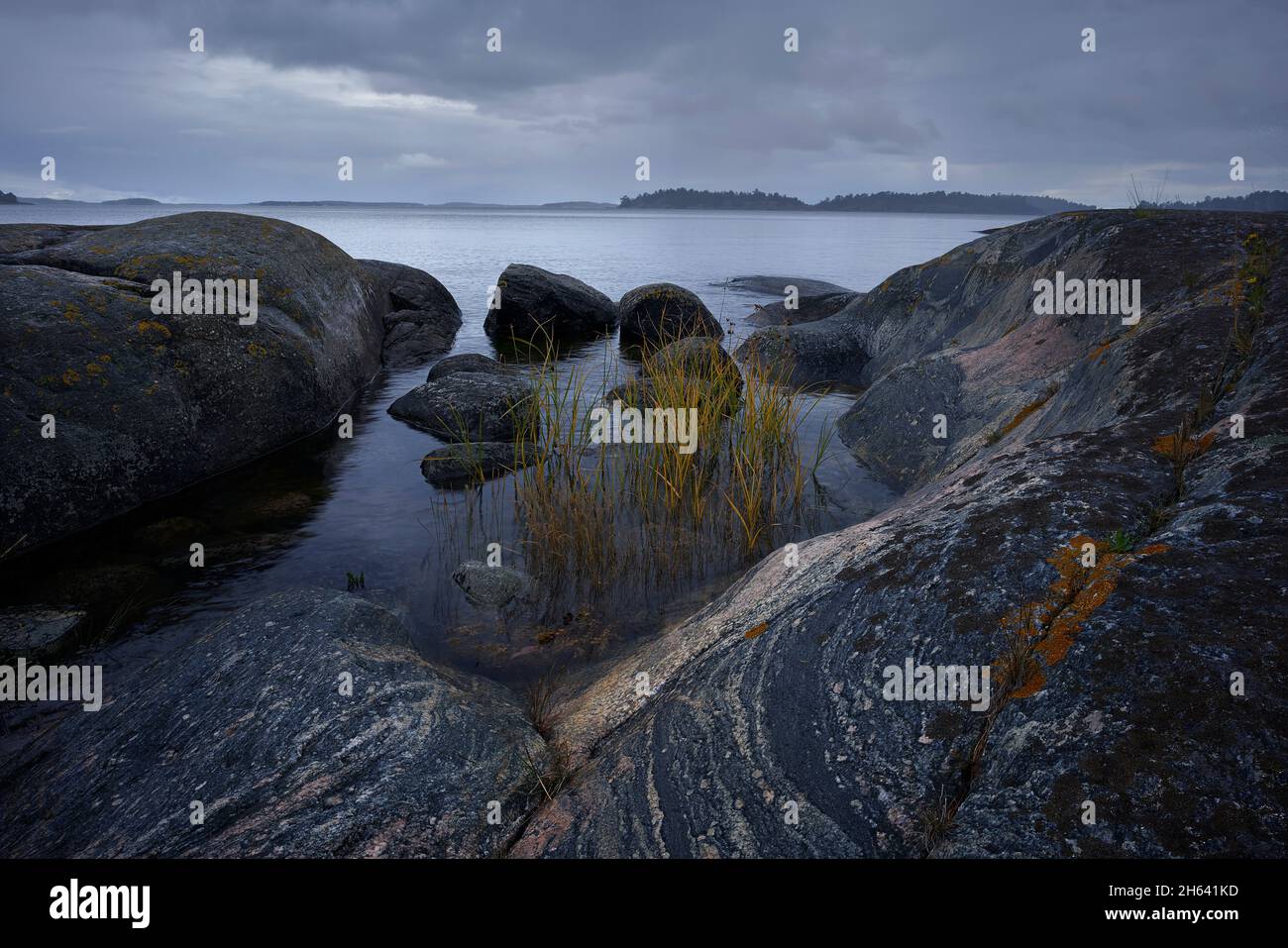 schweden, värmdö, björkö Naturschutzgebiet, stockholmer Schärengarten, Regen Stockfoto