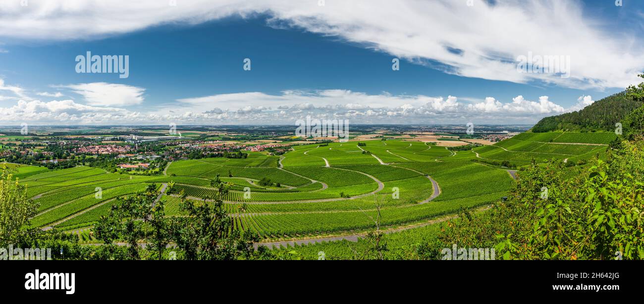Weinberge im fränkischen Weinland bei iphofen Stockfoto