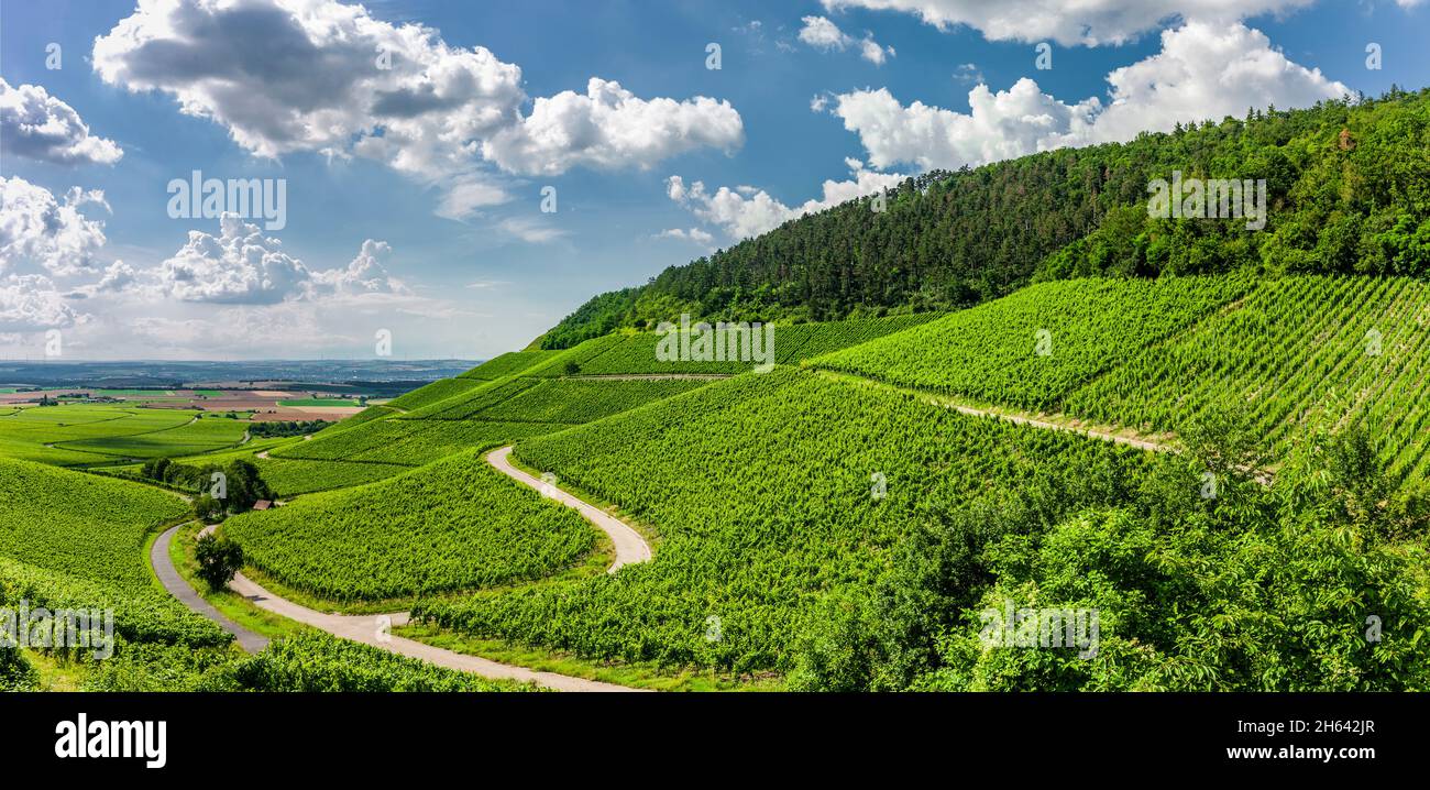 Weinberge im fränkischen Weinland bei iphofen Stockfoto