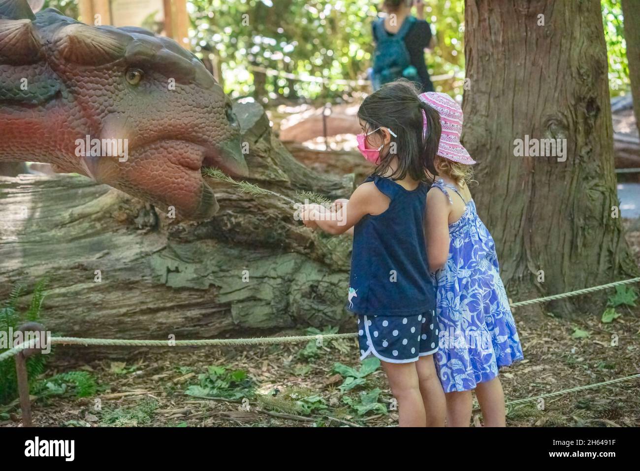 Seattle, Washington, USA. Junge Mädchen versuchen, einen animierten Dinosaurier im Woodland Park Zoo zu füttern Stockfoto