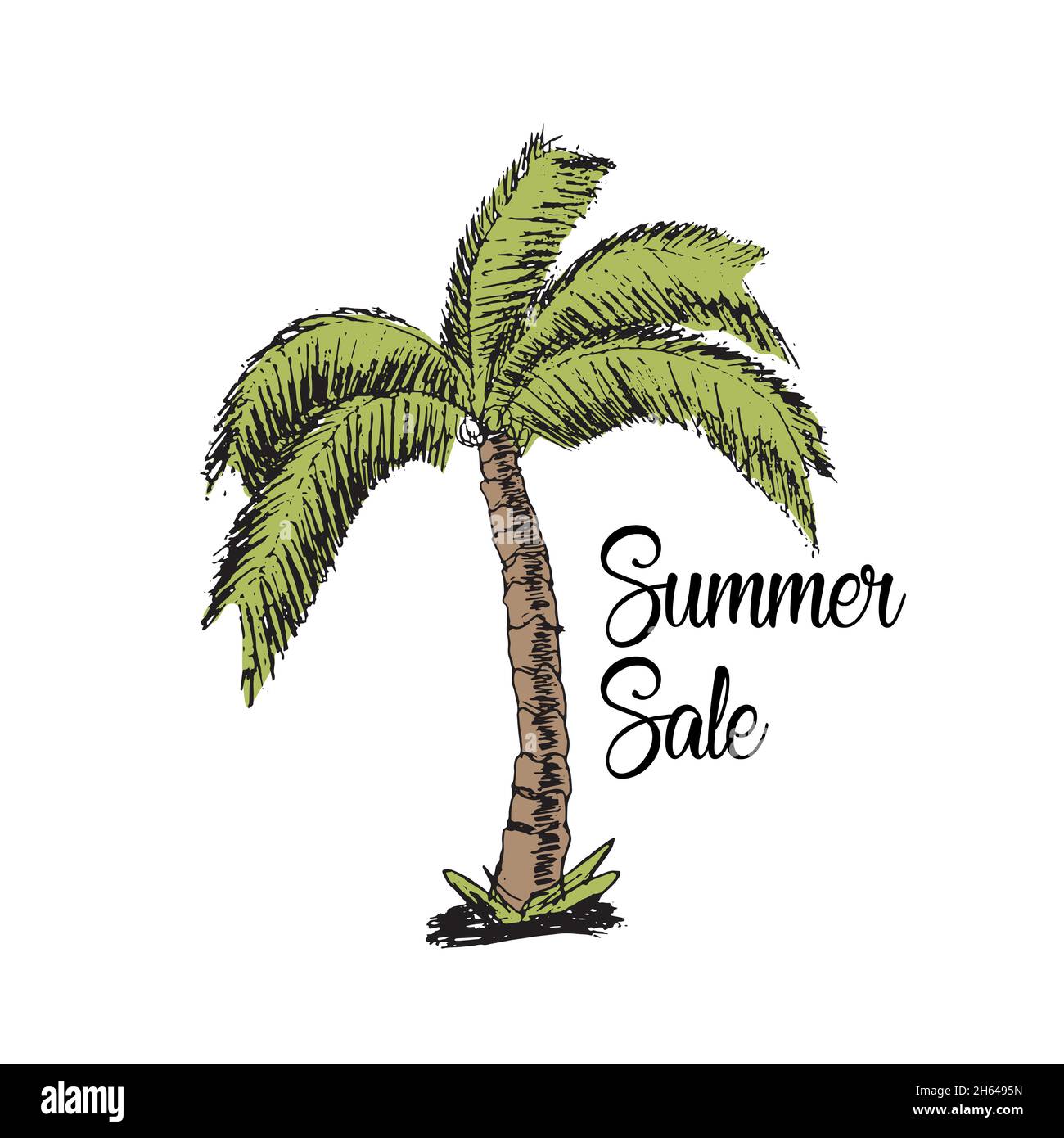 Handzeichnung der Palme im Sommer Verkauf Stock Vektor