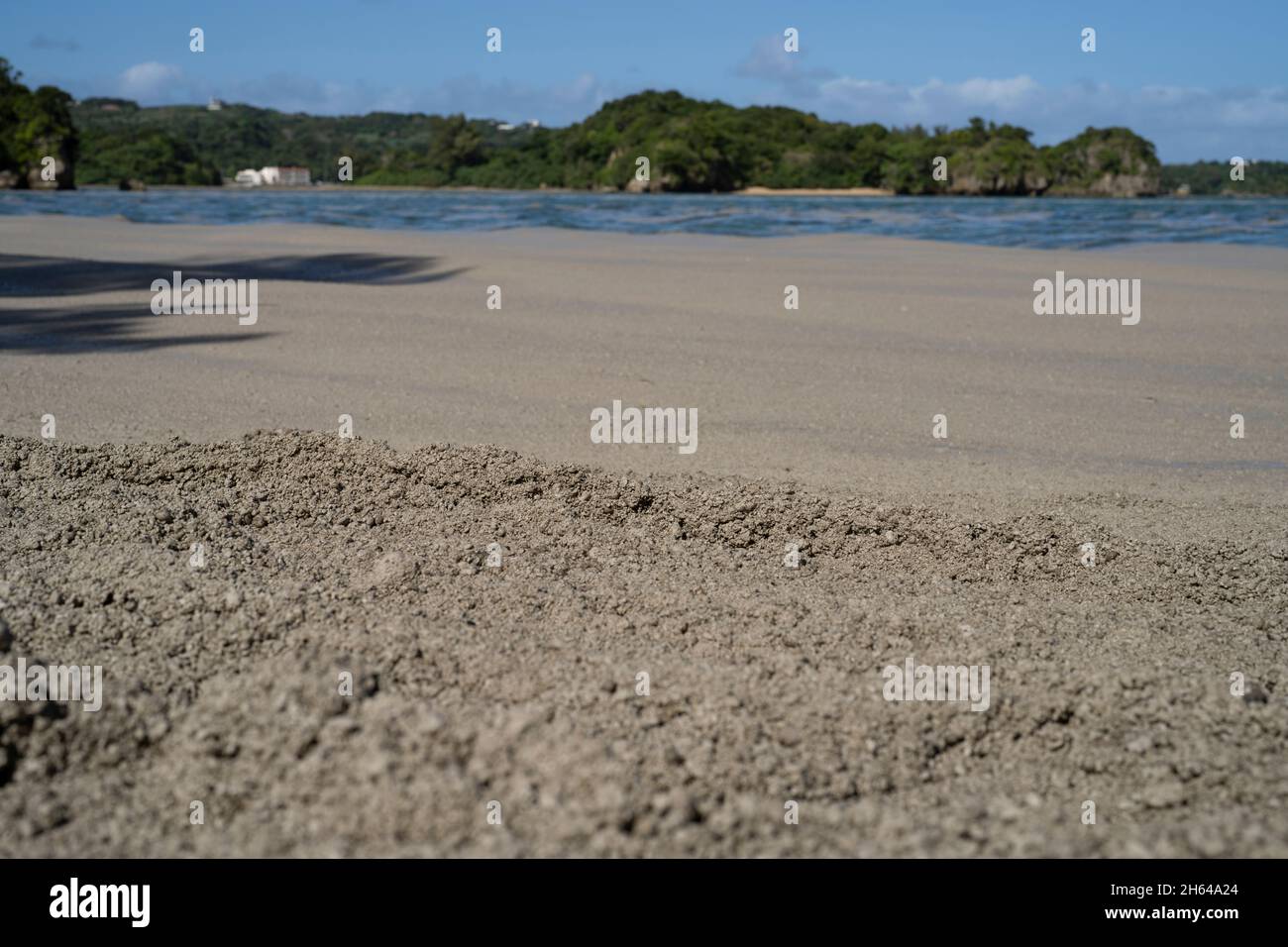 Nakijin, Okinawa, Japan. Strände, die nach einem Vulkanausbruch unter Wasser in der Nähe der Ogasawara-Inseln mit Bimsstein bedeckt waren. Bimsstein schwimmt auf der Oberfläche des Ozeans. Stockfoto