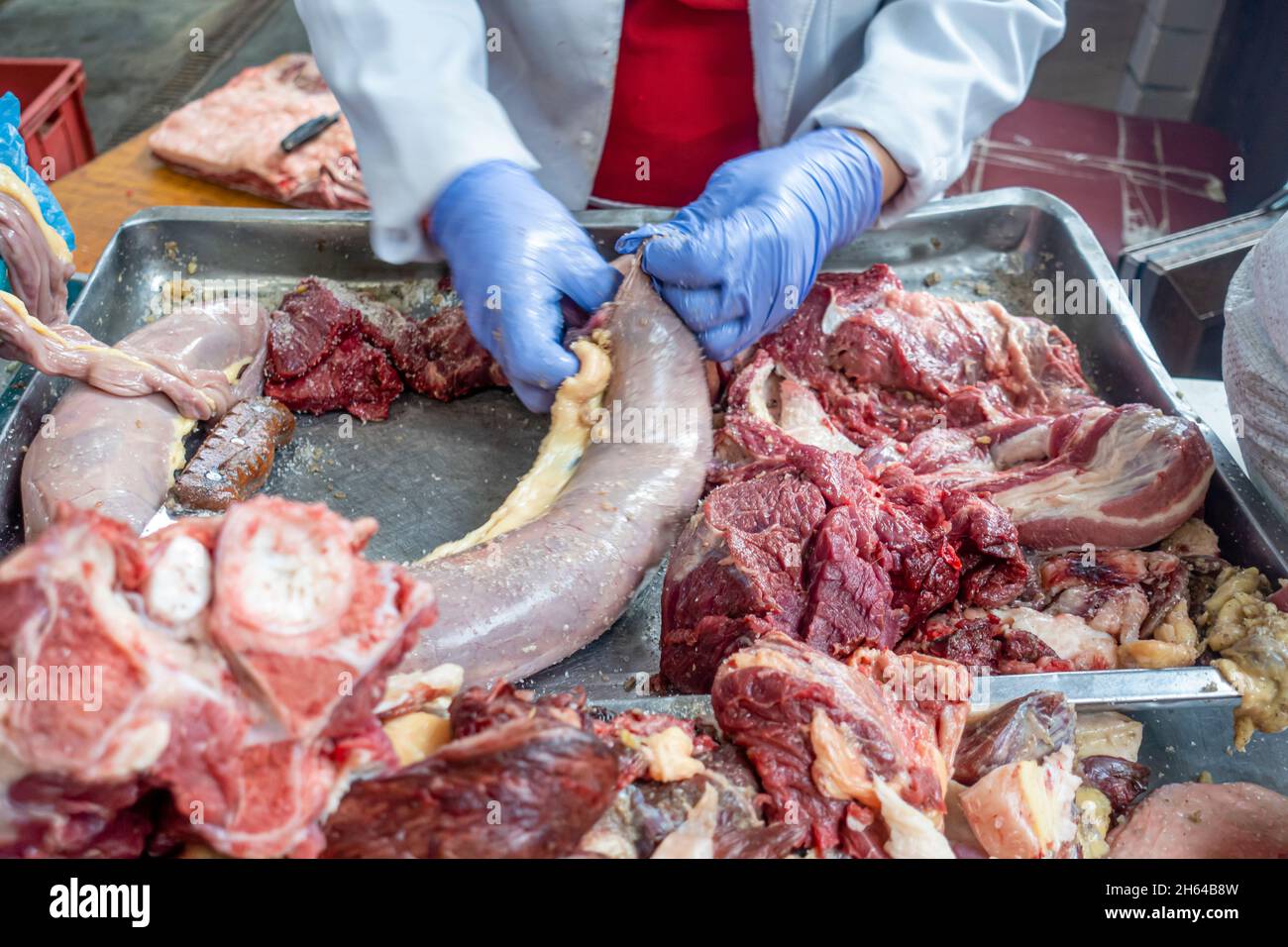 Qazy, Pferdefleischwurst wird in qarta (Pferdedarm) gestellt. Von den Händen in Handschuhen verpackt, um auf dem Fleischmarkt Altyn Orda, Almaty, Kasachstan verkauft zu werden Stockfoto