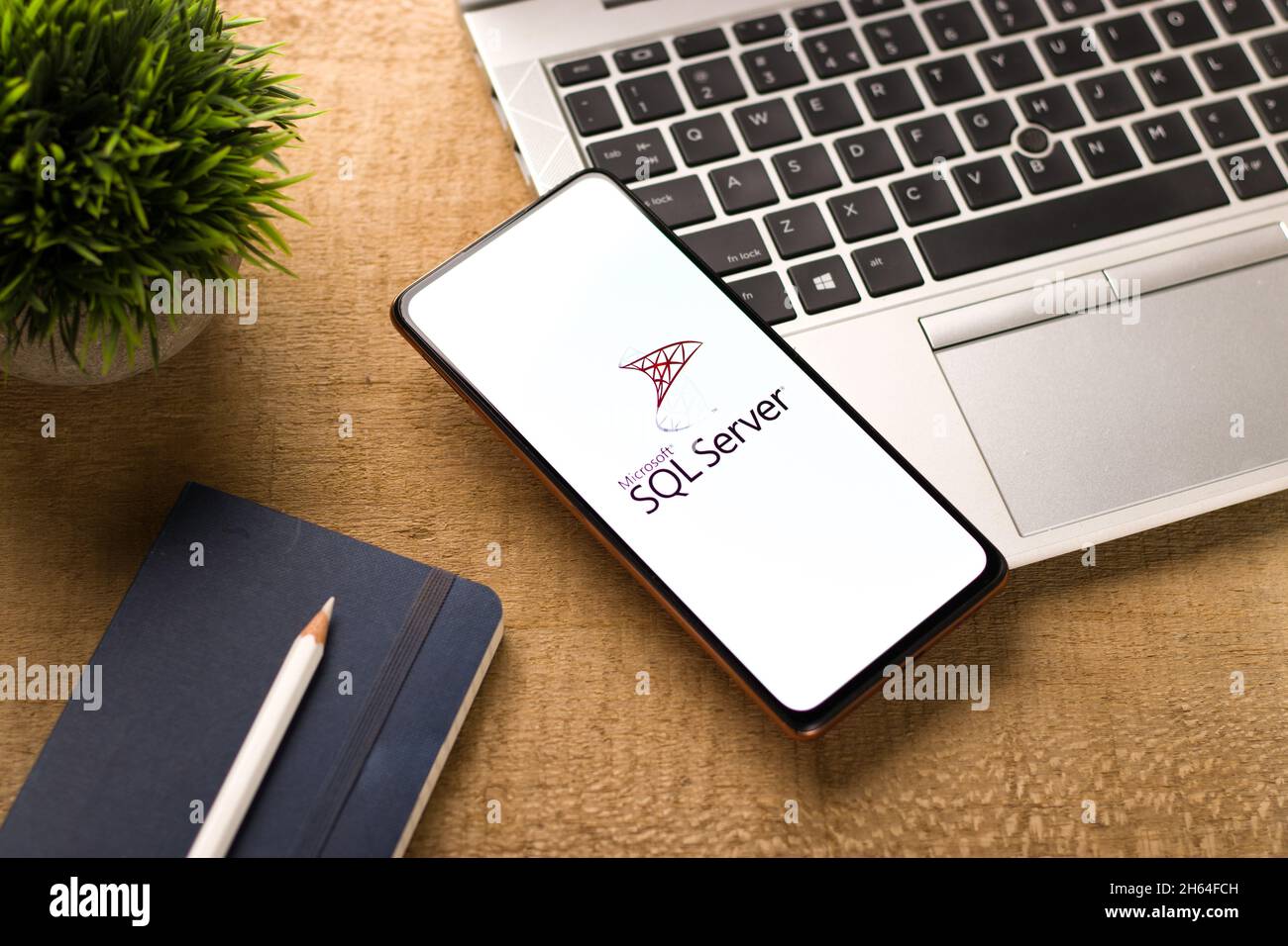 West Bangal, Indien - 11. November 2021 : Microsoft SQL Server-Logo auf dem Telefonbildschirm Stock Bild. Stockfoto