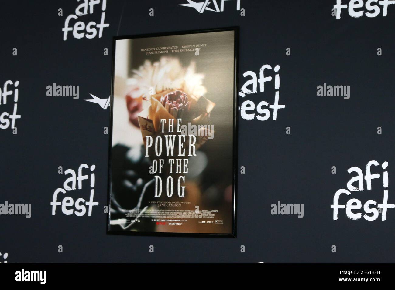 LOS ANGELES - NOV 11: Atmosphäre beim AFI Fest - The Power of the Dog LA Premiere im TCL Chinese Theatre IMAX am 11. November 2021 in Los Angeles, CA Stockfoto
