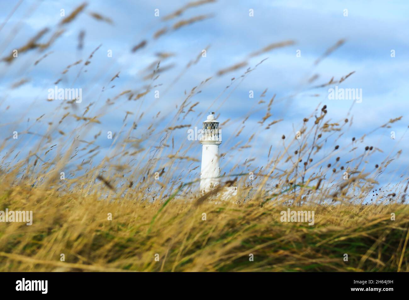 Flamborough Head Lighthouse ist ein aktiver Leuchtturm in Flamborough, East Riding of Yorkshire. England. Nach der Automatisierung, der letzte Lichtdurchlaß Stockfoto