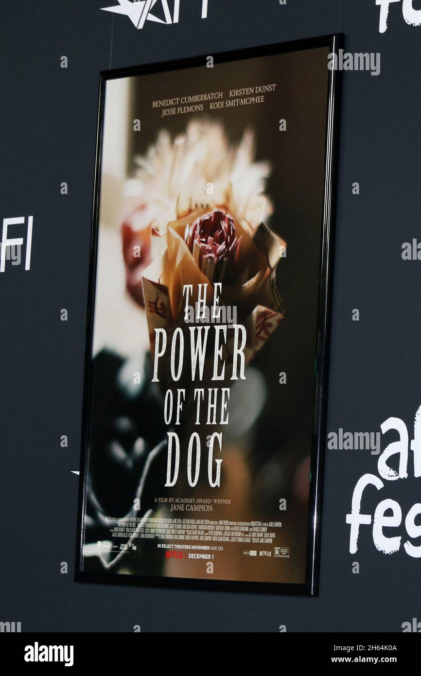 11. November 2021, Los Angeles, CA, USA: LOS ANGELES - 11. NOVEMBER: Atmosphäre beim AFI Fest - The Power of the Dog LA Premiere im TCL Chinese Theatre IMAX am 11. November 2021 in Los Angeles, CA (Foto: © Kay Blake/ZUMA Press Wire) Stockfoto