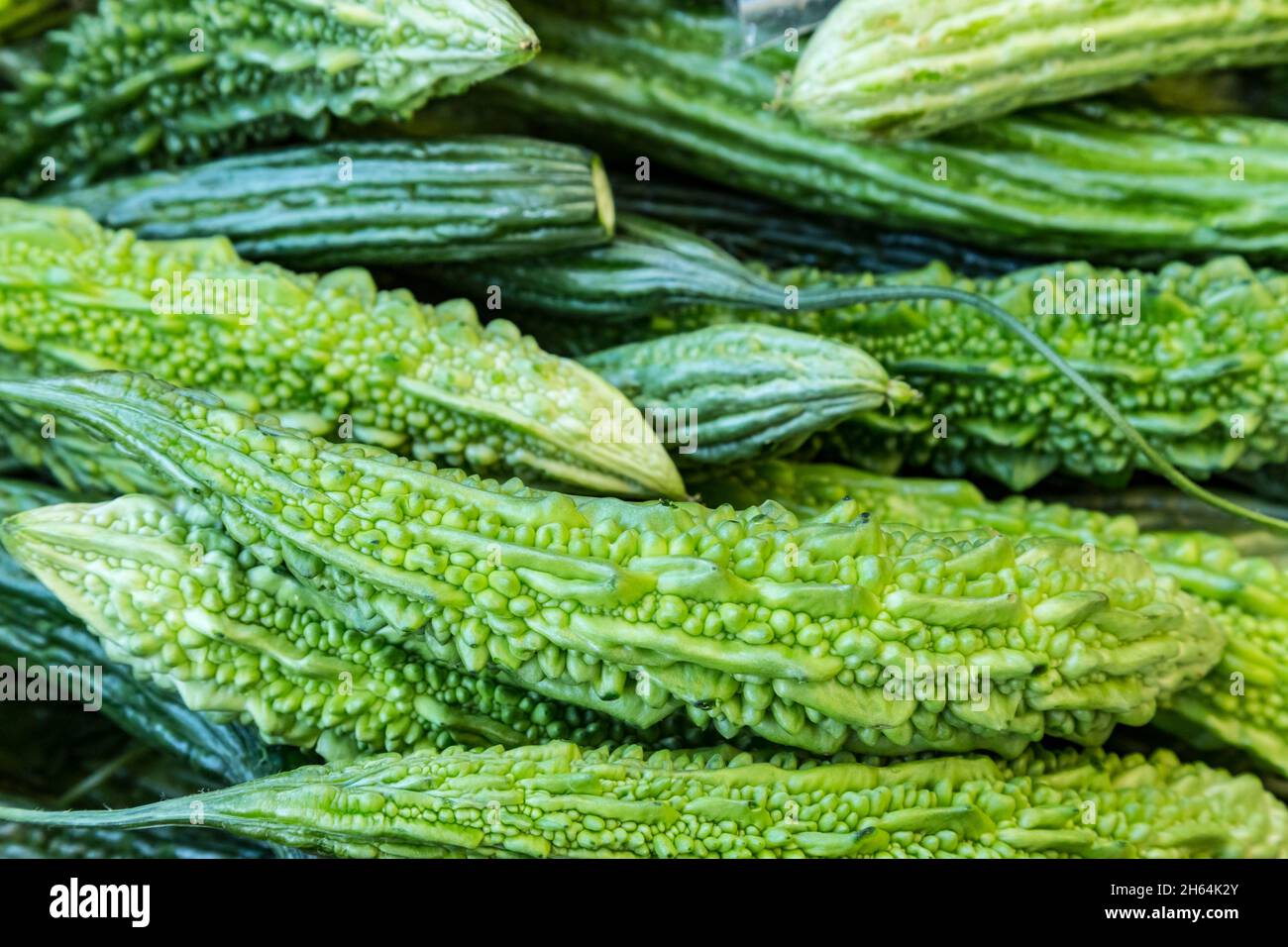 Grüne gesunde Nahrung Hintergrund von Momordica charantia bekannt als Bittermelone oder Bittergurke oder Apfel oder Kürbis oder Kürbis oder Balsambirne Stockfoto