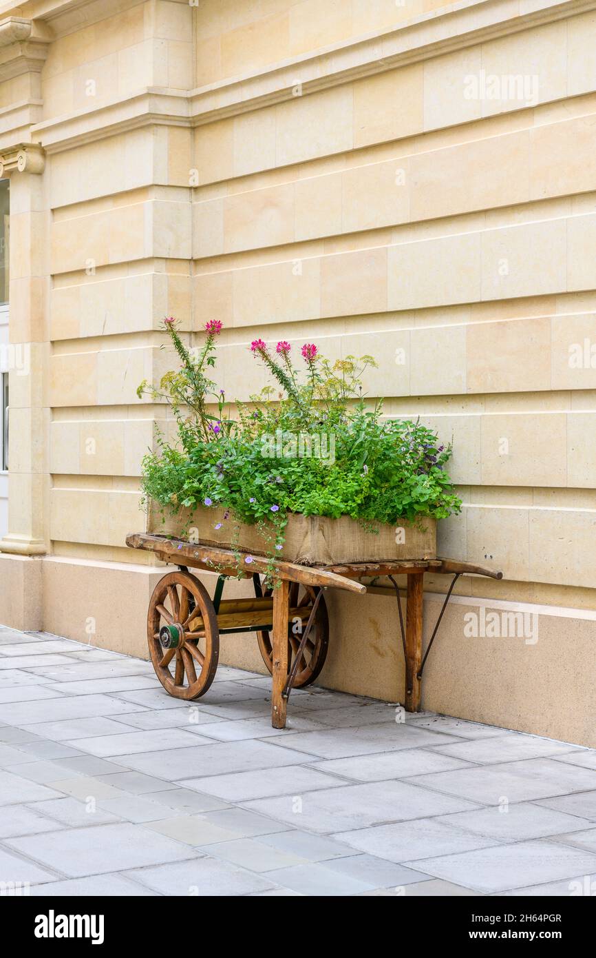 Handwagen fantasievoll mit Pflanzen, um eine einzigartige städtische Landschaft im Stadtzentrum von Bath, Somerset, zu schaffen. Stockfoto