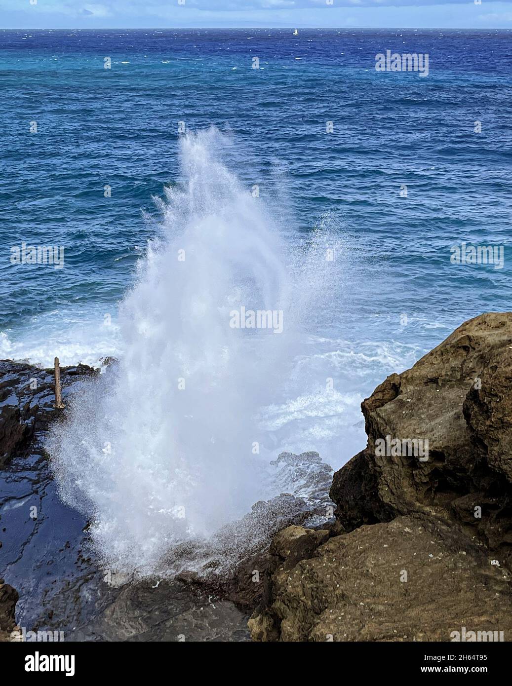 Die Brandung steigt durch das berühmte Blow-Hole an der Küste von Oahu, Hawaii. Stockfoto