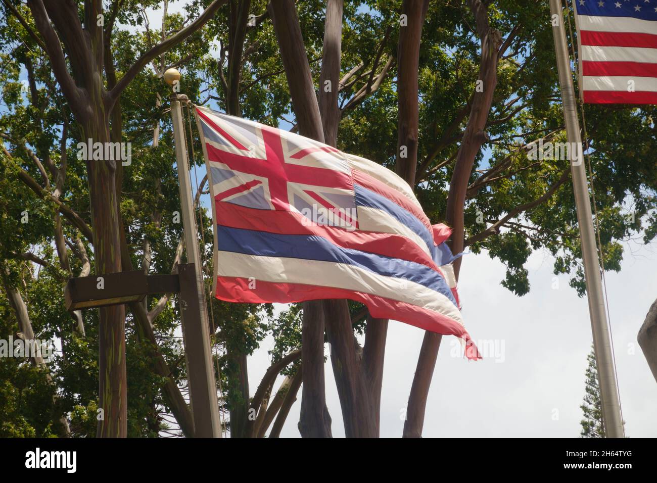 Hawaiianische Staatsflagge weht in der Brise. Stockfoto