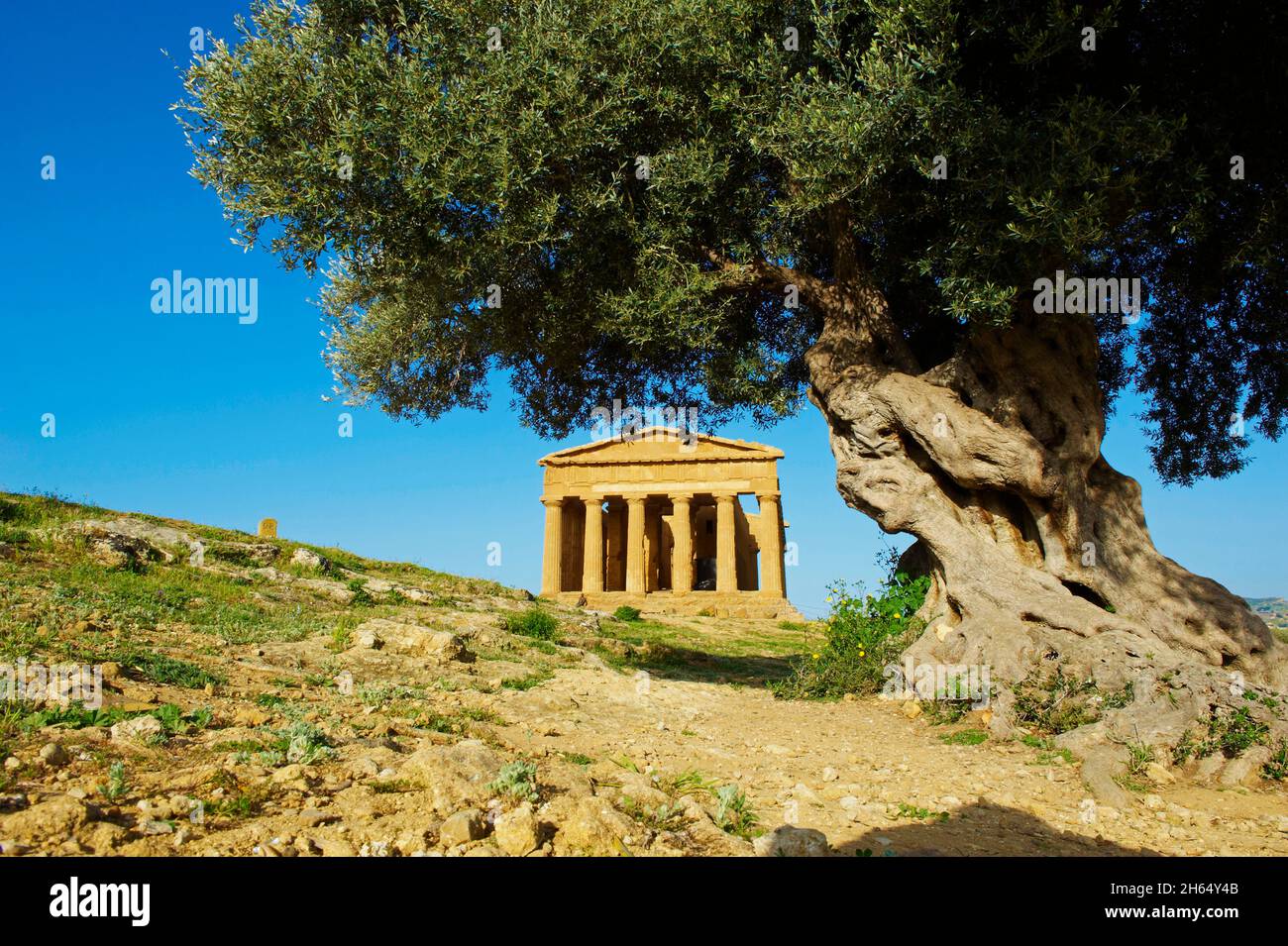 Italien, Sizilien, Agrigento, Tal der Tempel, Valle dei Templi, Concordia-Tempel Stockfoto