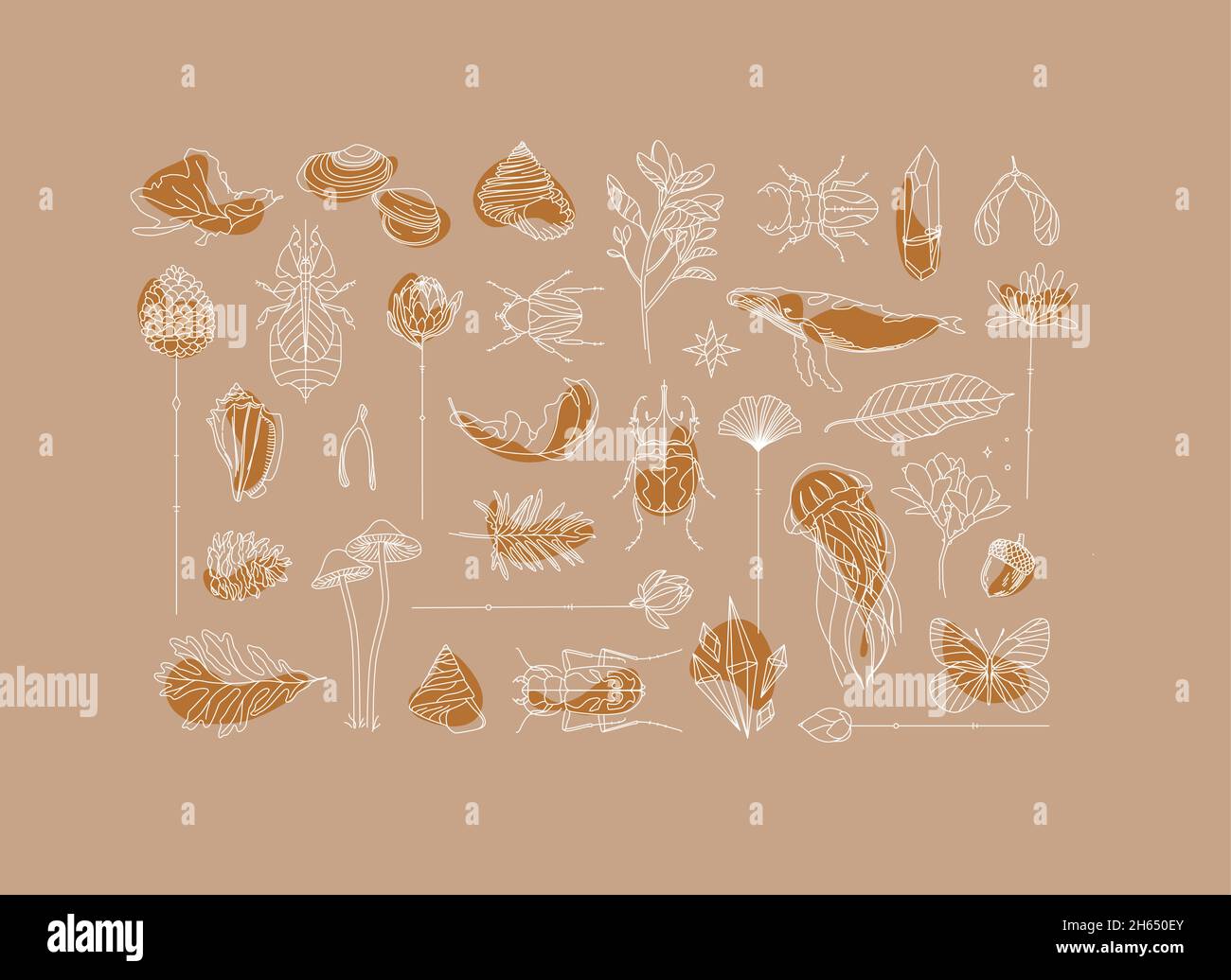 Art déco-Sammlung von Flora und Fauna auf beigefarbenem Hintergrund Stock Vektor