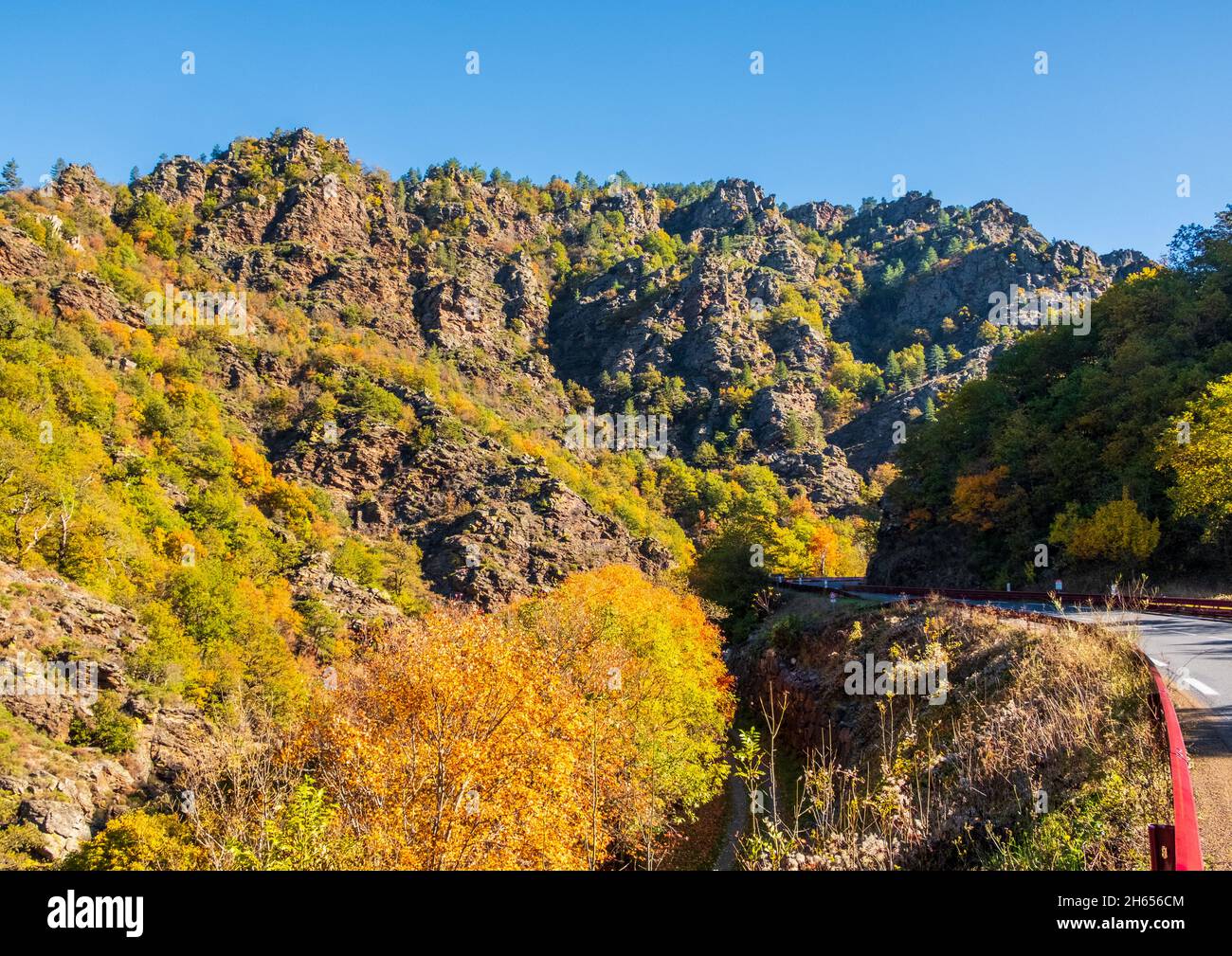 Der Herbst färbt sich neben der Straße N106 im Ravin de l'Abriguet, die von La Mimente, einem Fluss im Nationalpark der Cevennen, Frankreich, gebildet wird Stockfoto