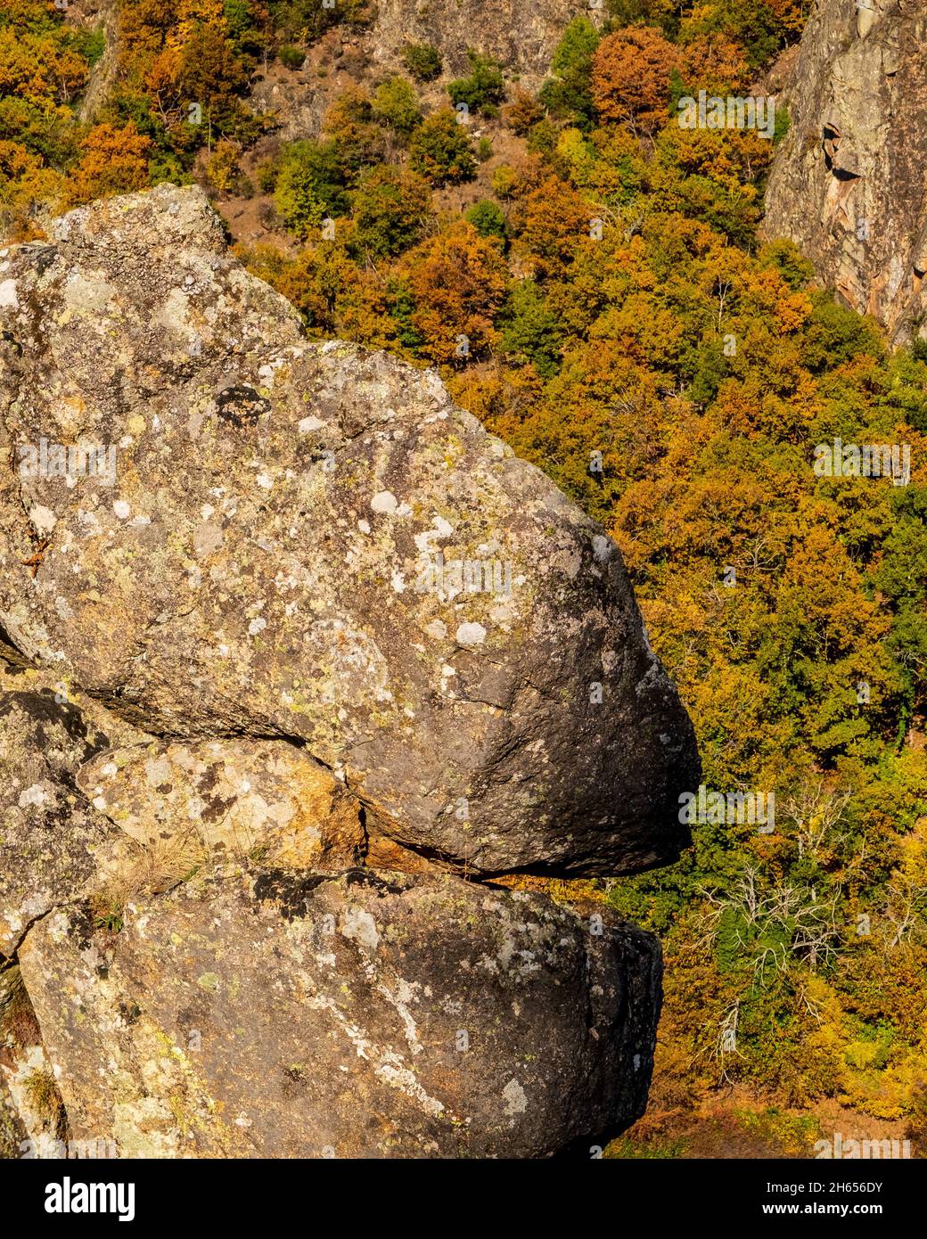Felsen am Straßenrand, der ein wenig wie ein Dinosaurierkopf aussieht, in der Nähe von Nozieres, im Nationalpark Cevennes, Languedoc-Roussillon, Frankreich Stockfoto