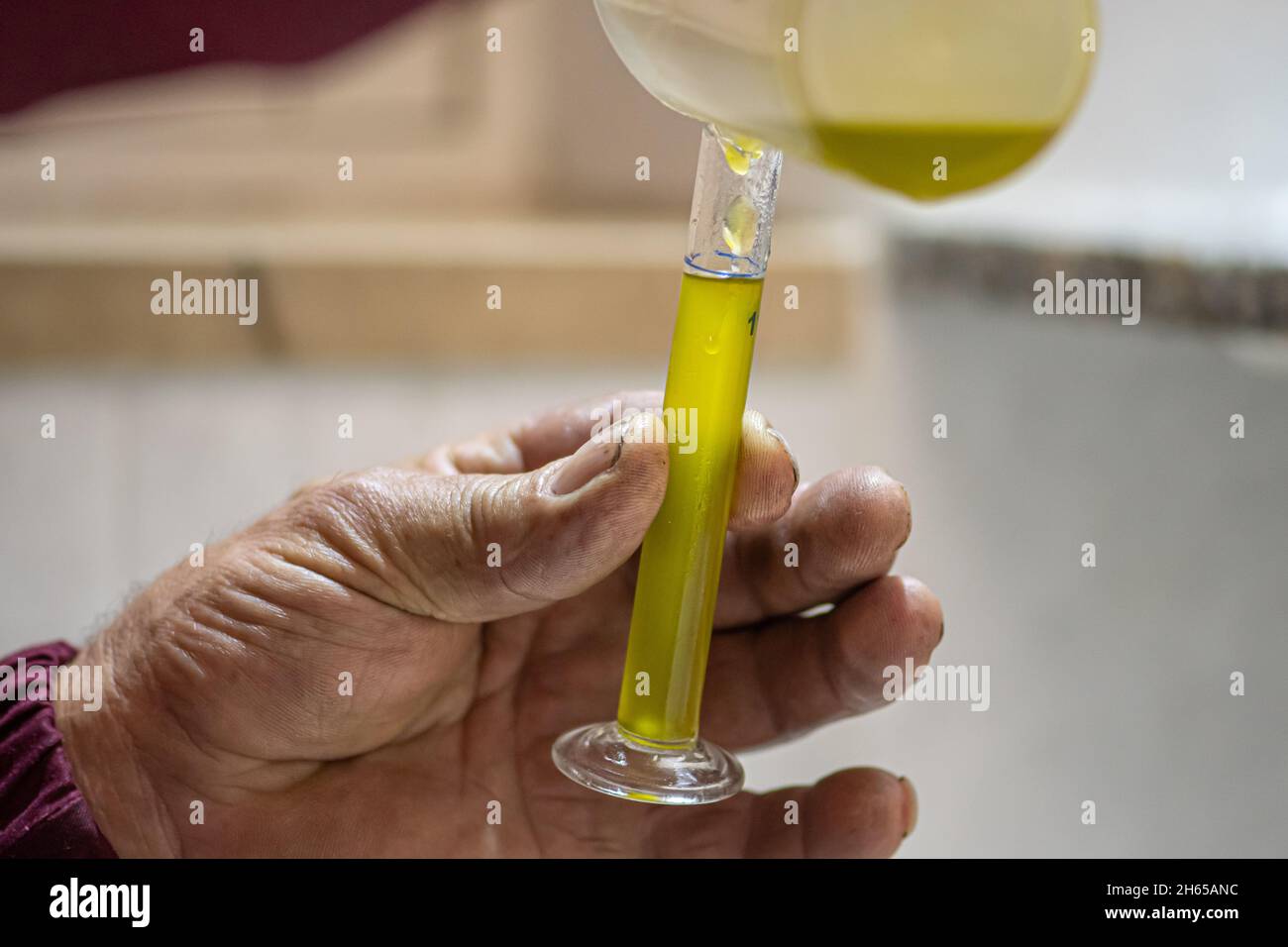 Ökologische Produktion von nativem Olivenöl extra mit moderner Technologie, Extraktion und Filterung, reines Olivenöl in einer Glasflasche Stockfoto