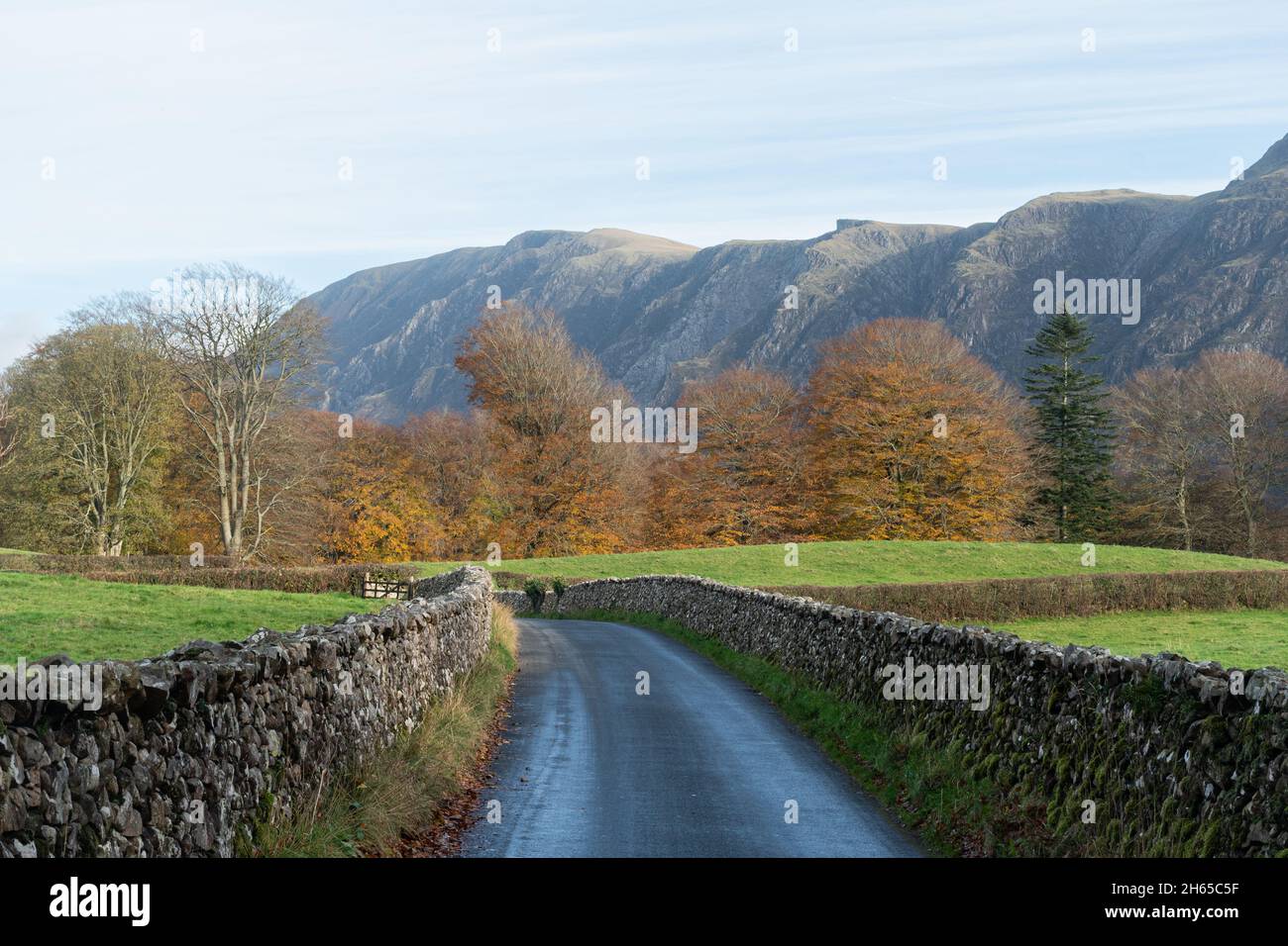Schmale Landstraße, die von Trockensteinmauern in der Nähe von Wastwater (Wastwater) in Cumbria, England, im Herbst mit steilen Berggipfeln begrenzt wird Stockfoto