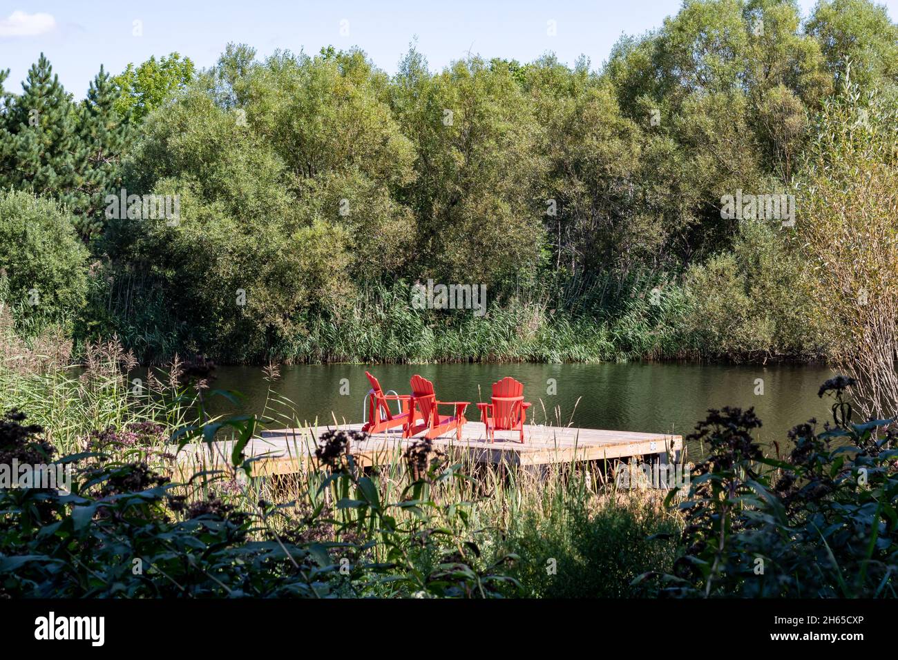 Drei rote Muskoka Adirondack-Stühle auf einem Dock an einem See in Ontario, Kanada. Wald im Hintergrund. Stockfoto