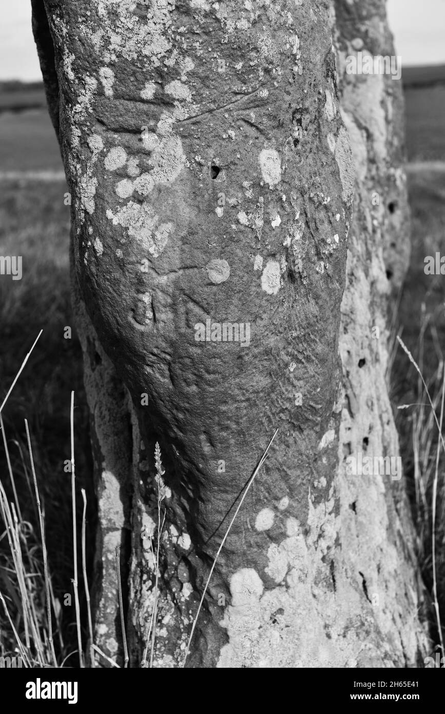 Duddo Five Stones Steinkreis der frühen Bronzezeit in Northumberland, Großbritannien Stockfoto