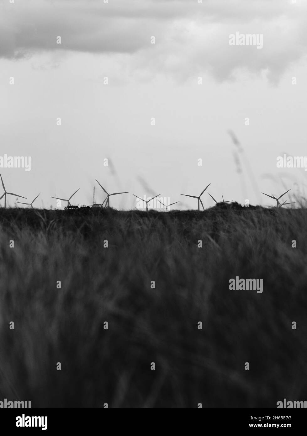 Minimale Windleistung Landschaft Schwarzweiß - weit entfernte Windparkturbinen hinter unscharf langer Grashintergrund - Windgrashimmel Windparkturbinen Horizont Stockfoto