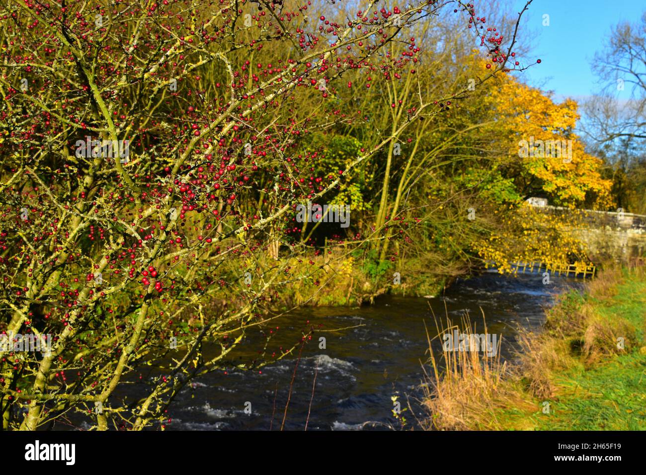 Airton, Malhamdale, Yorkshire Dales, North Yorkshire Stockfoto