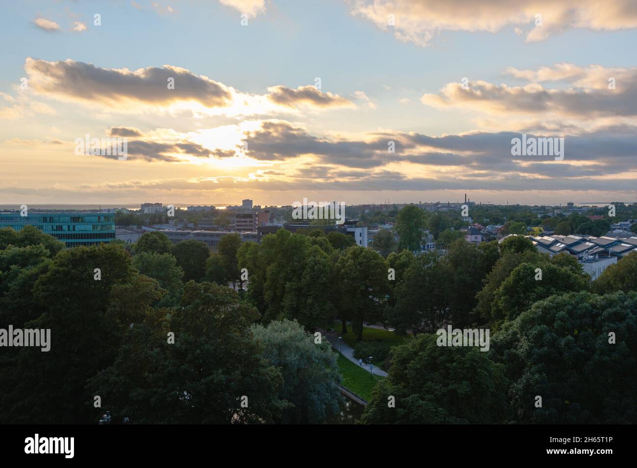 Tallinn die Hauptstadt von Estland am Abend Stockfoto