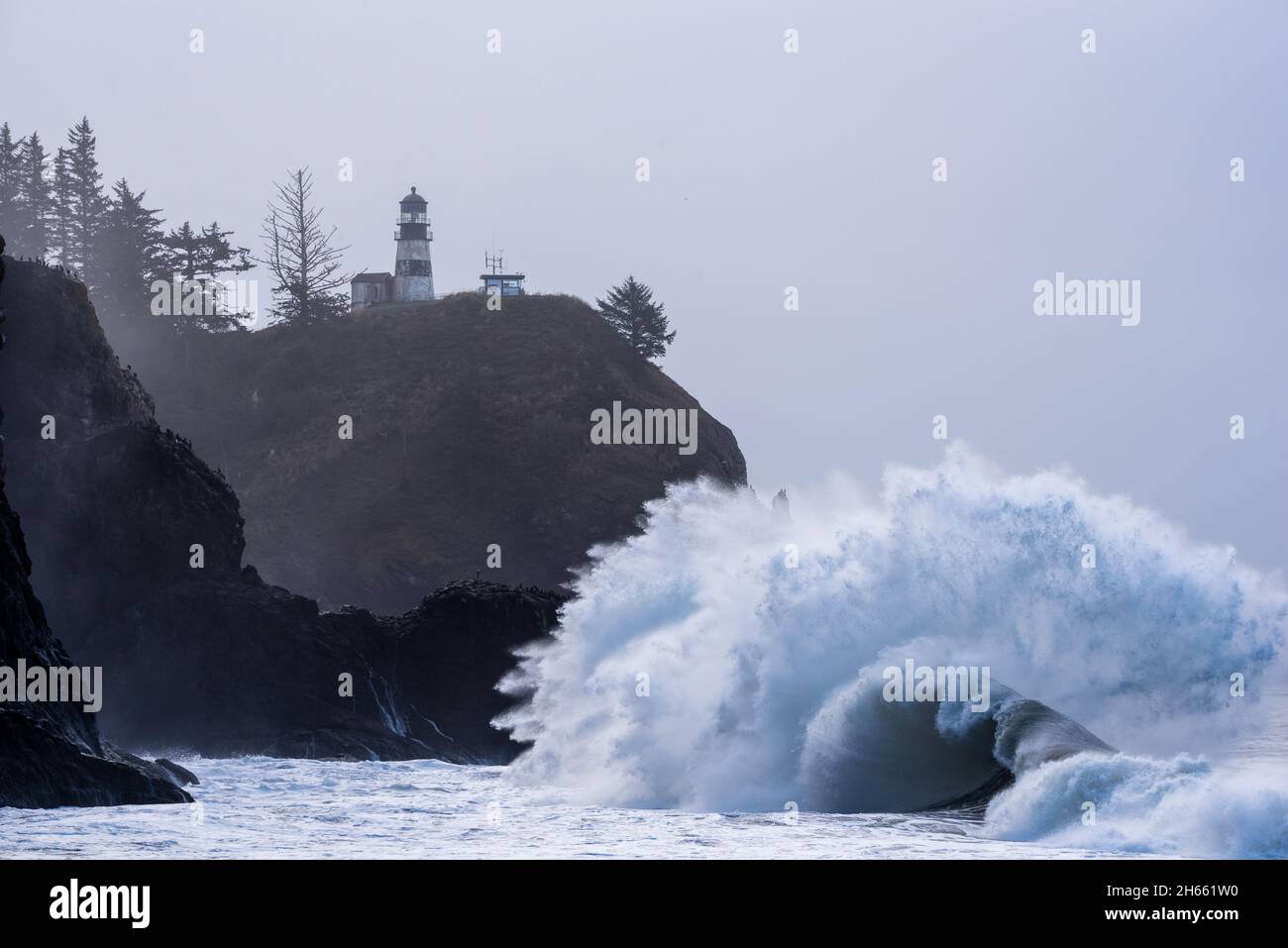 Riesige Wellen am Kap Enttäuschung Stockfoto