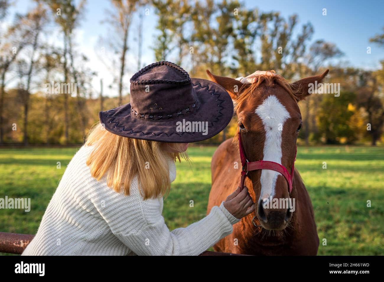 Eine Frau mit Cowboyhut spricht auf dem Bauernhof mit ihrem jungen Pferd. Cowgirl und Fohlen. Friedschaft zwischen Menschen und Haustieren Stockfoto