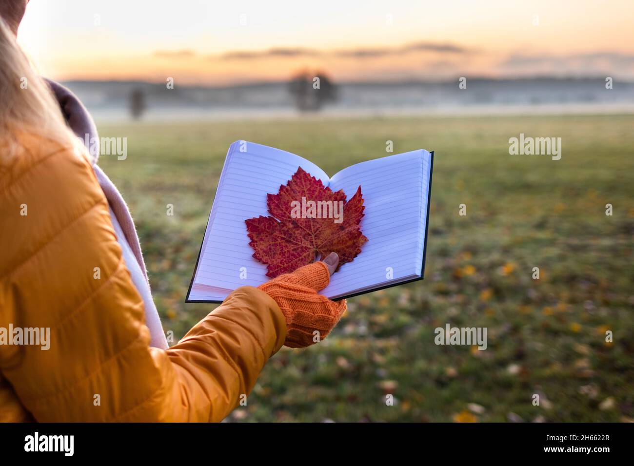 Der Herbst schreibt ein Tagebuch. Frau hält rotes Blatt an der offenen Notizblock. Sonnenaufgang über der Nebellandschaft am kalten Morgen. Herbstkonzept Stockfoto