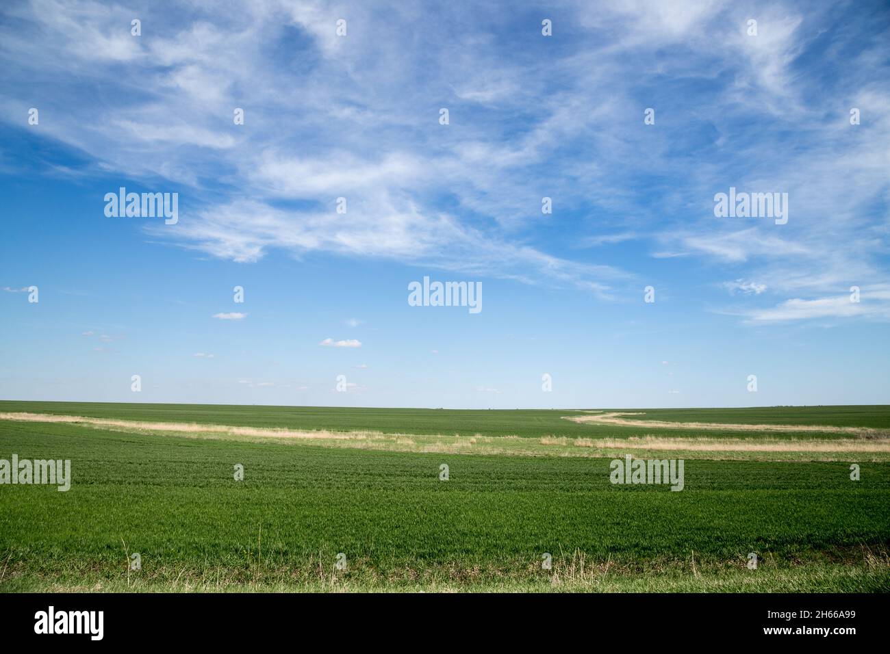Weites offenes Feld mit blauem Himmel Stockfoto