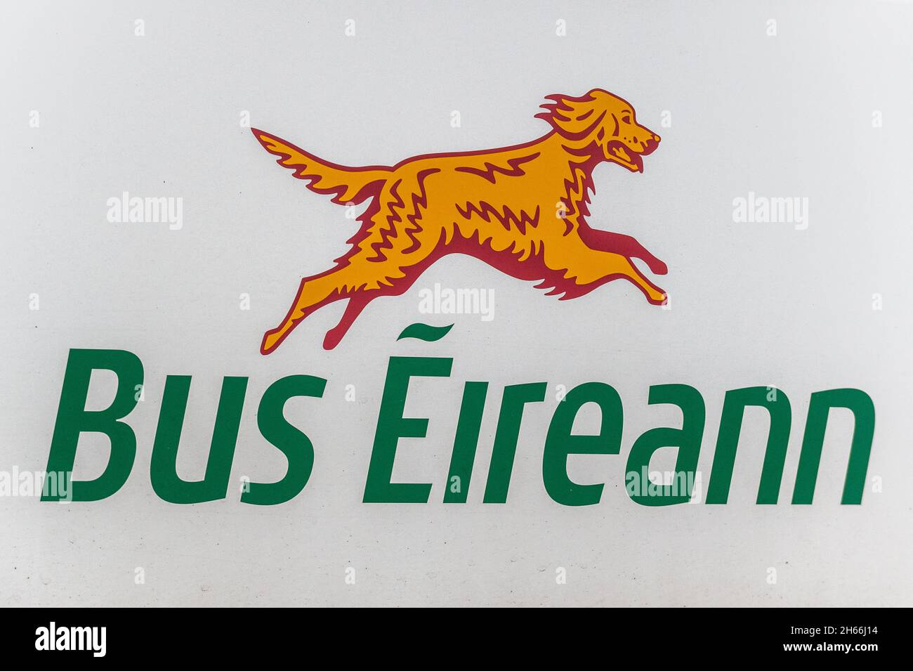 Bus Éireann Logo auf der Seite eines Reisebusses in Irland. Stockfoto