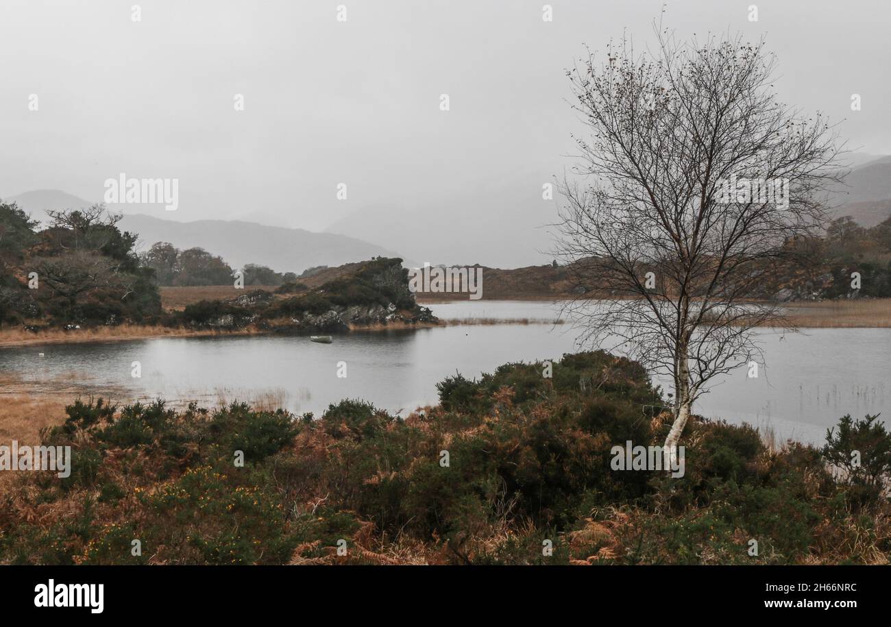 Blick vom Killarney National Park Stockfoto