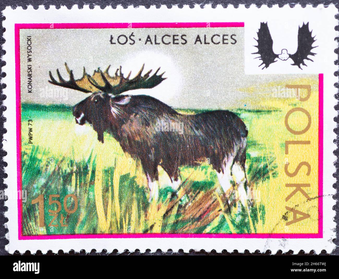 POLEN-UM 1973: Eine in Polen gedruckte Briefmarke zeigt Elche, die Reihe International Hunting Committee Congress und den 50. Jahrestag der polnischen Jagd Stockfoto