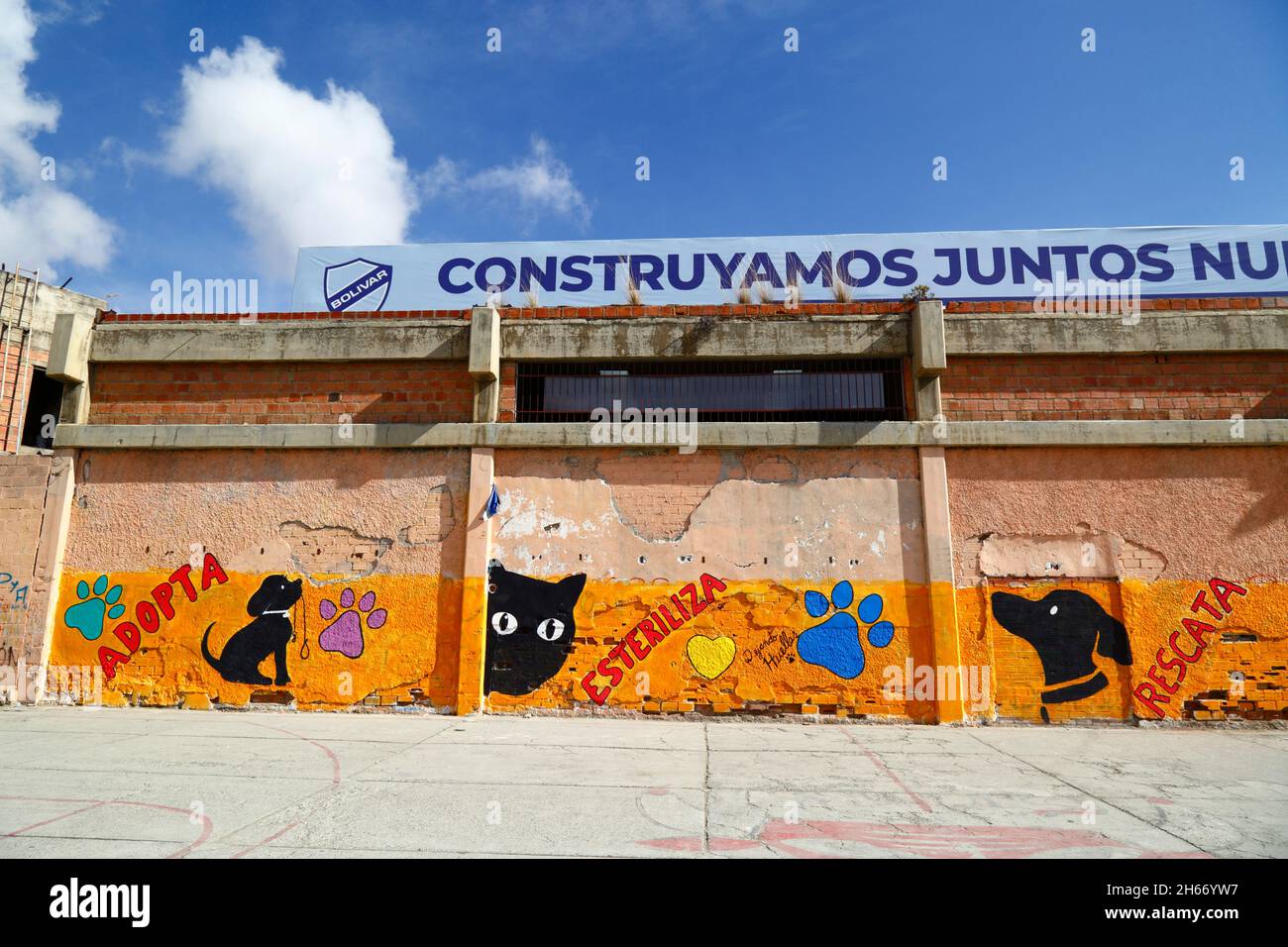 Wandgemälde an der Außenseite des Bolivar-Stadions ermutigen die Menschen, Tiere als Haustiere zu adoptieren, anstatt neue zu kaufen, und auch, sie zu sterilisieren, um die Bevölkerung von verlassenen Haustieren zu reduzieren, die auf den Straßen leben. Wie viele Städte in Lateinamerika haben auch La Paz und das benachbarte El Alto eine große Population von Straßenhunden, von denen viele verlassene Haustiere sind und eine Gefahr für Gesundheit und Sicherheit darstellen können. Tembladerani, La Paz, Bolivien Stockfoto