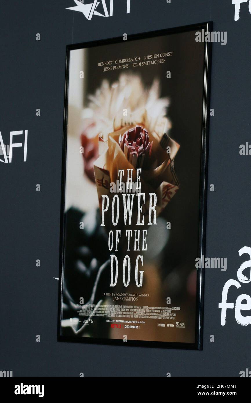 Los Angeles, USA. November 2021. Atmosphäre beim AFI Fest - The Power of the Dog LA Premiere im TCL Chinese Theatre IMAX am 11. November 2021 in Los Angeles, CA (Foto: Katrina Jordan/Sipa USA) Quelle: SIPA USA/Alamy Live News Stockfoto