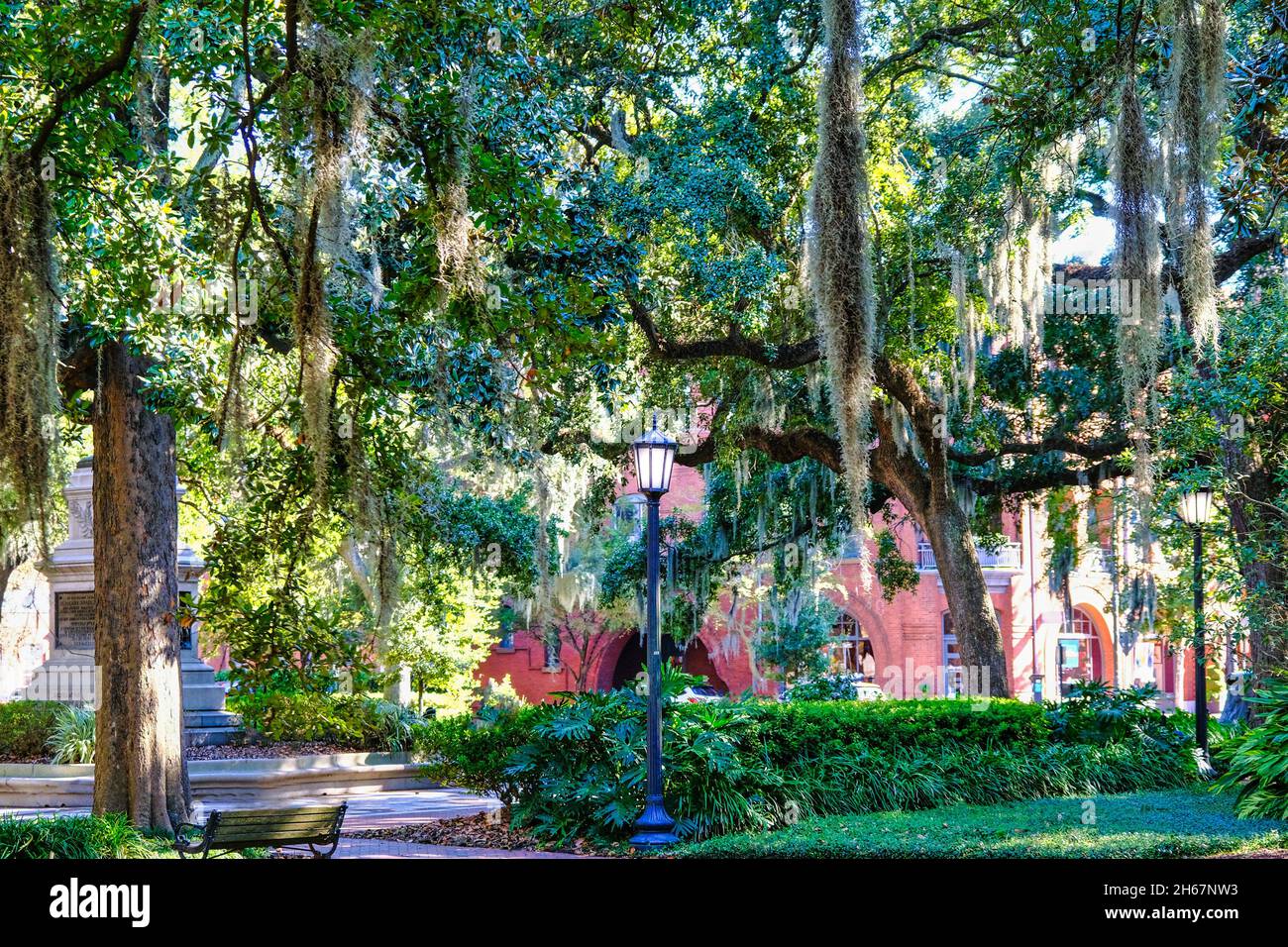 Spanischer Moos im Savannah Park Stockfoto