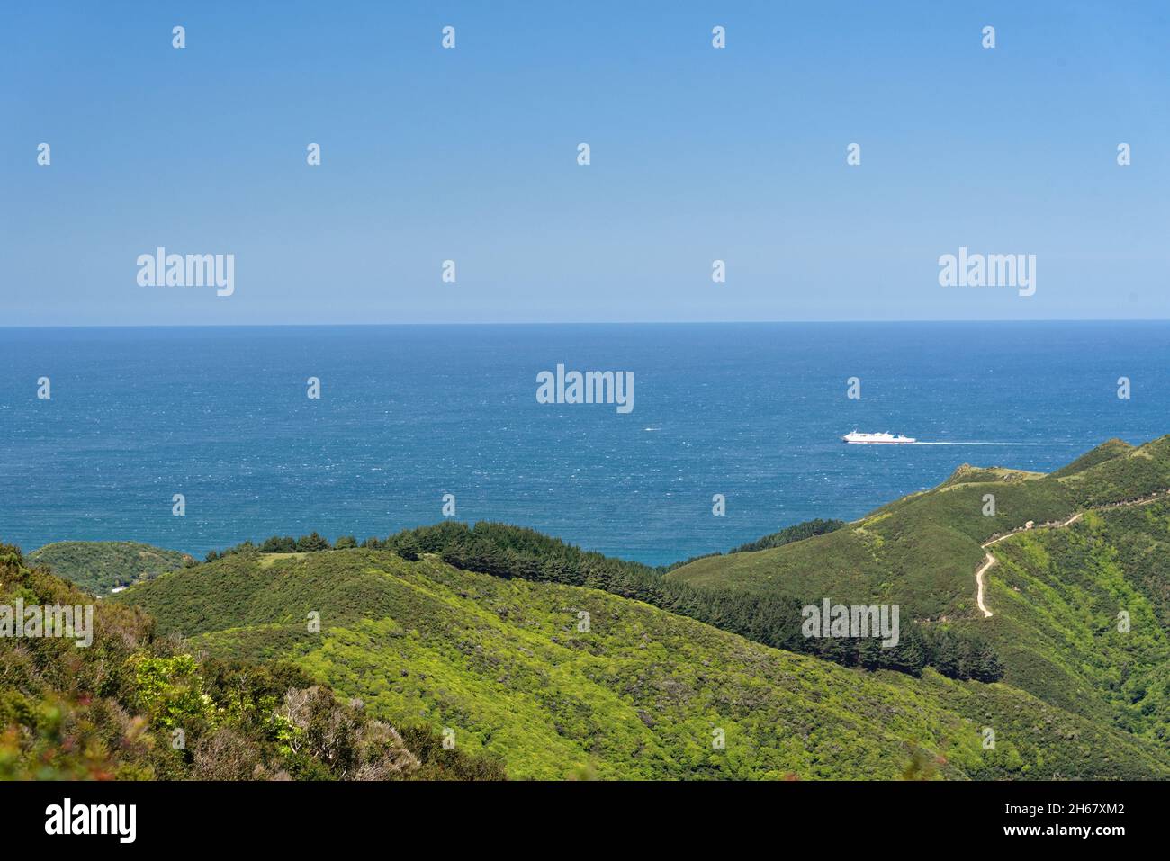 Interisland-Fähre auf der Cook Straight in der Nähe von Wellington, Neuseeland Stockfoto