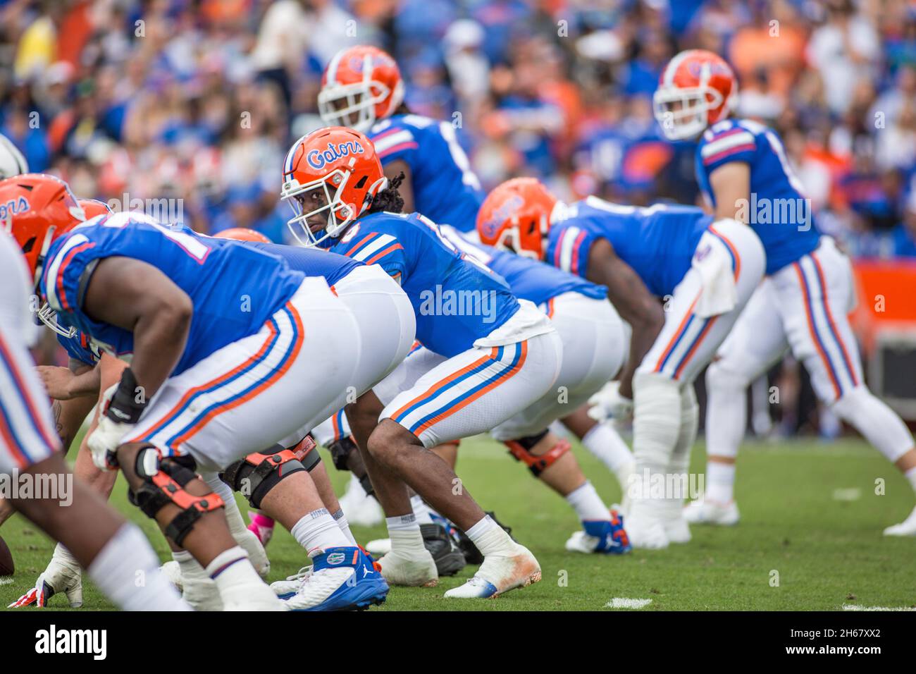 13. November 2021: Florida Gators Quarterback Emory Jones (5) schaut die Linie hinunter, bevor er während des NCAA-Fußballspiels zwischen den Samford Bulldogs und den Florida Gators im Ben Hill Griffin Stadium Gainesville, FL, einen Schnappschuss macht. Jonathan Huff/CSM. Stockfoto