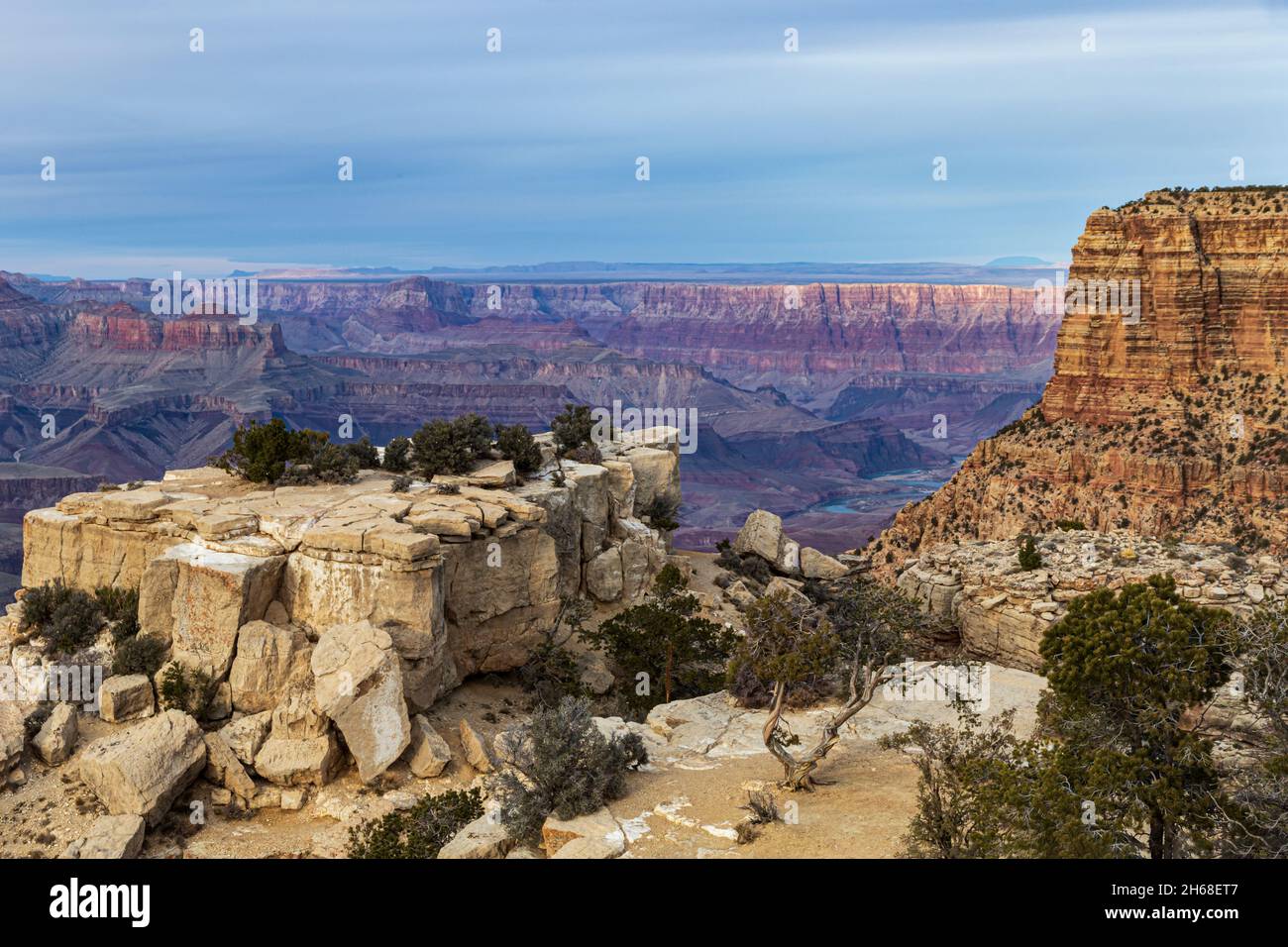 Blick auf den Grand Canyon in der Abenddämmerung vom Moran Point, South Rim. Bäume und Felsen im Vordergrund. Canyon mit Himmel und Wolken in der Ferne. Stockfoto