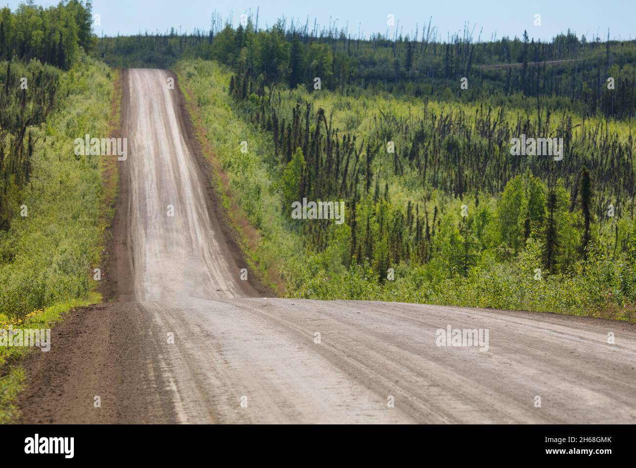 Der Dalton Highway, Alaska, USA, bis zum Nordpol. Stockfoto