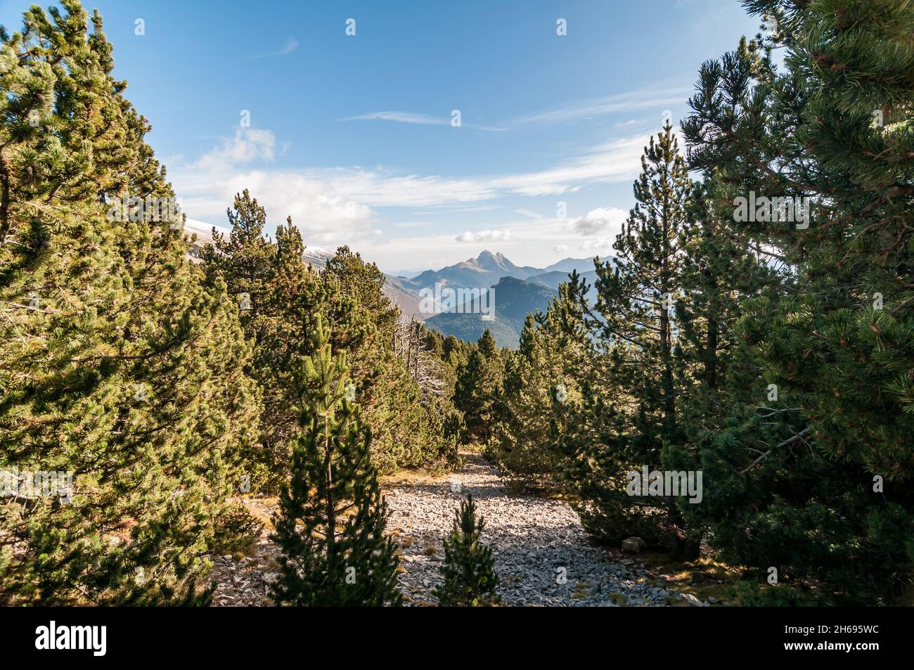 Pedraforca, Westwand, aus Serra del Cadí, Katalonien, Spanien Stockfoto