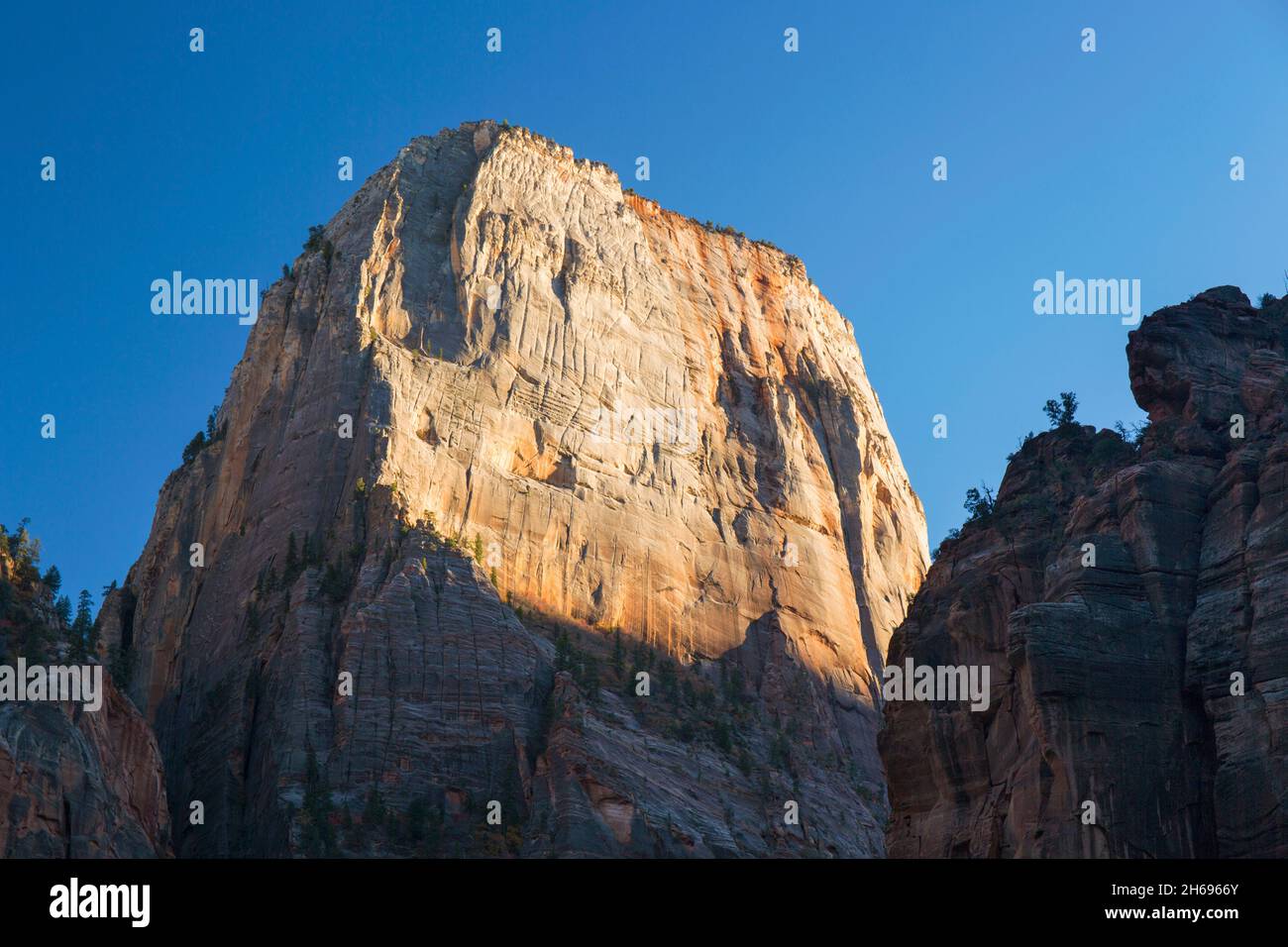 Zion National Park, Utah, USA. Niedriger Winkel bei Sonnenuntergang über der aufragenden Nordwestwand des Großen Weißen Throns, Herbst. Stockfoto