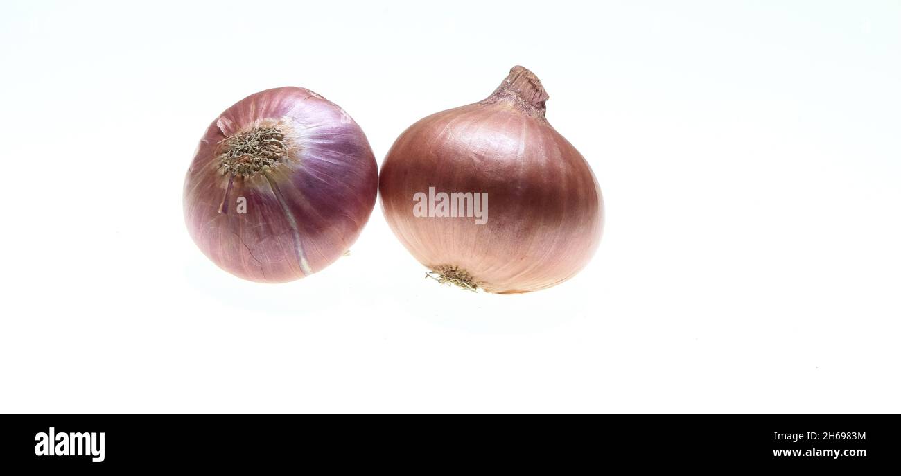 Zwiebel isoliert auf weißem Hintergrund mit genügend Platz für Text. Stockfoto