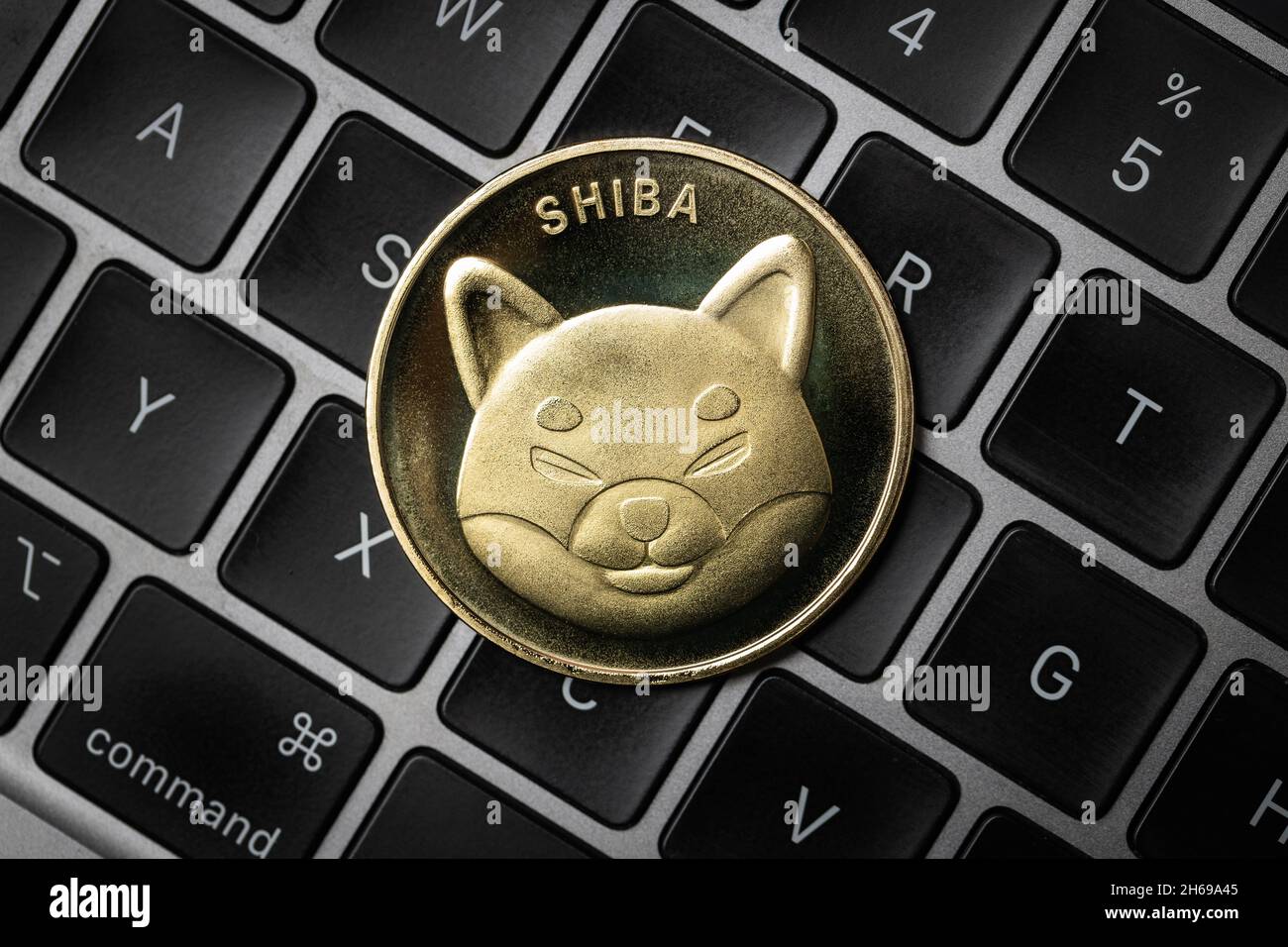 Shiba Inu-Münze auf einer Tastatur Stockfoto