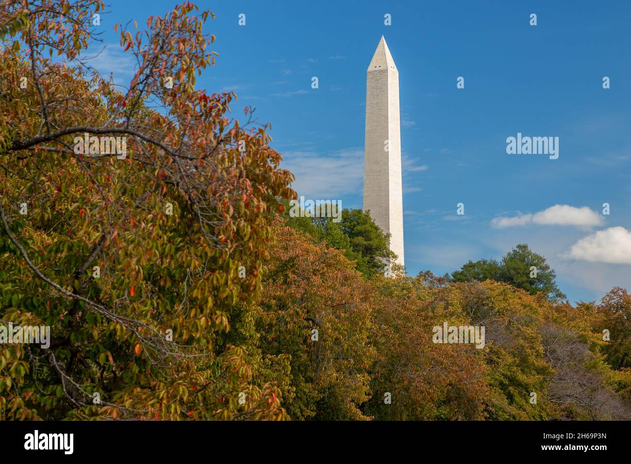 Washington Monument in Washington, D.C. Stockfoto