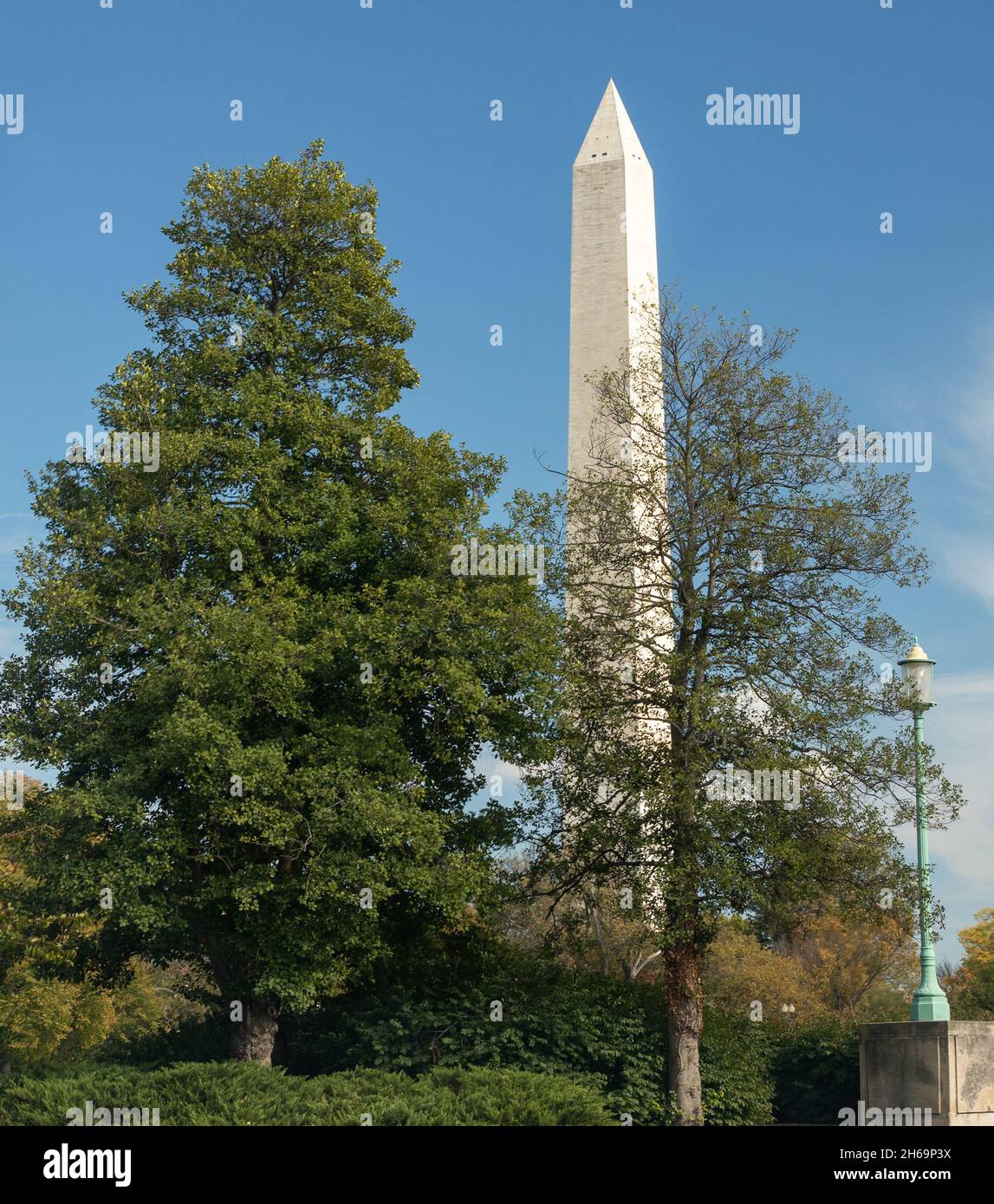 Washington Monument in Washington, D.C. Stockfoto
