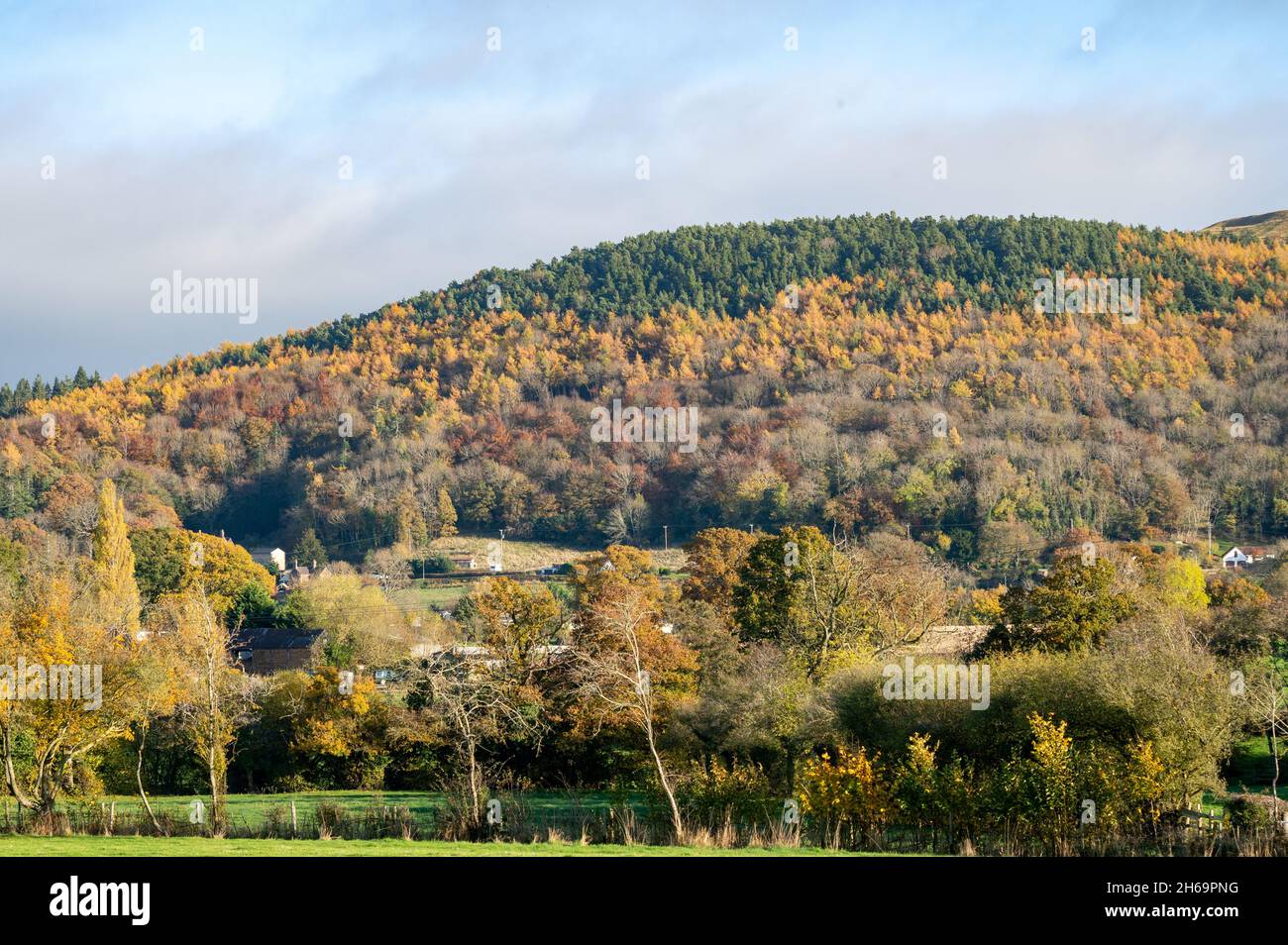 Strahlender Sonnenschein brachte die Herbstfarben in den Bäumen der Landschaft von Shropshire über das Wochenende zum Vorschein. Quelle: Phil Pickin/ Alamy Live News Stockfoto